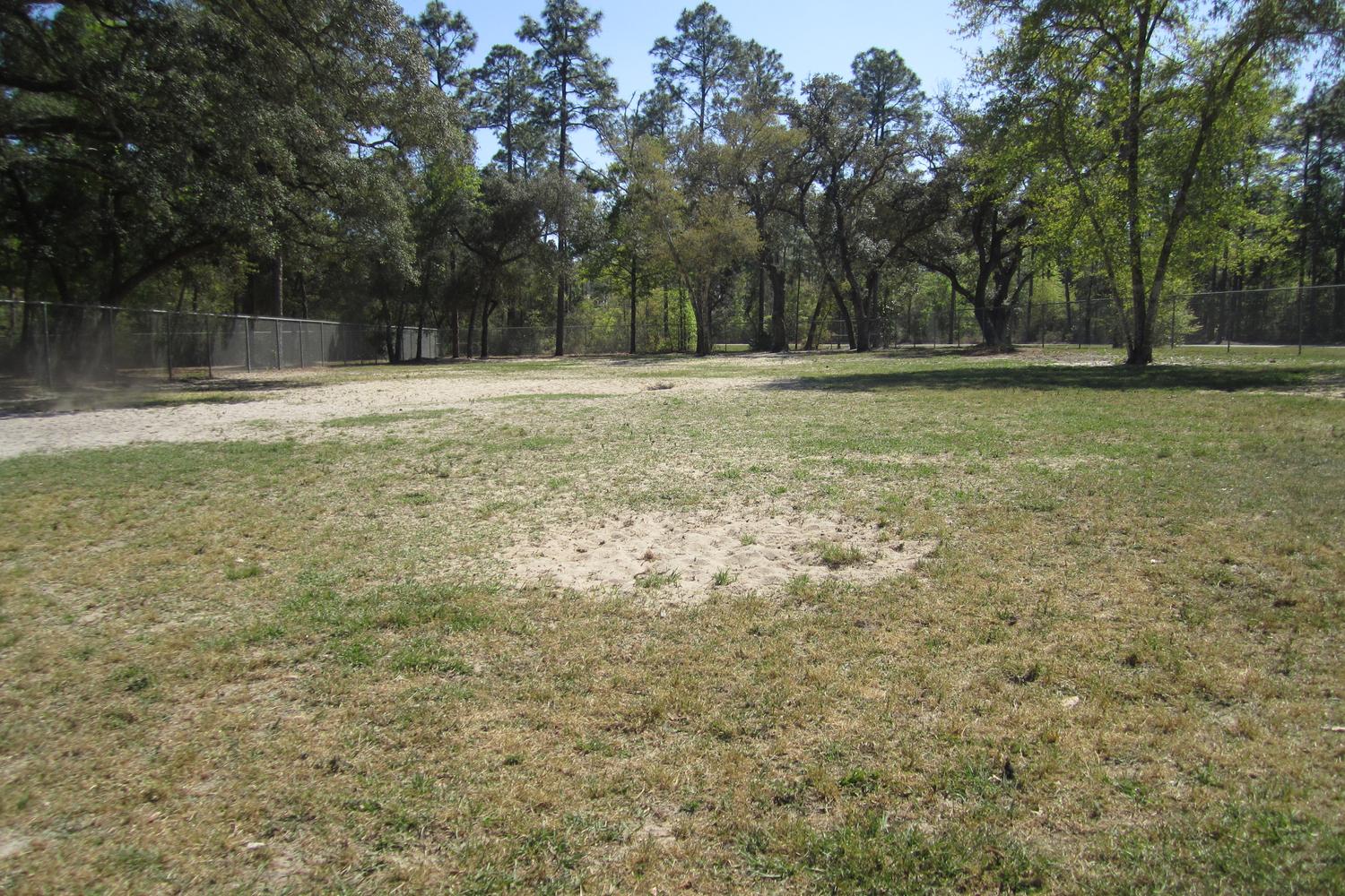 Bill Dickson Dog Park 4