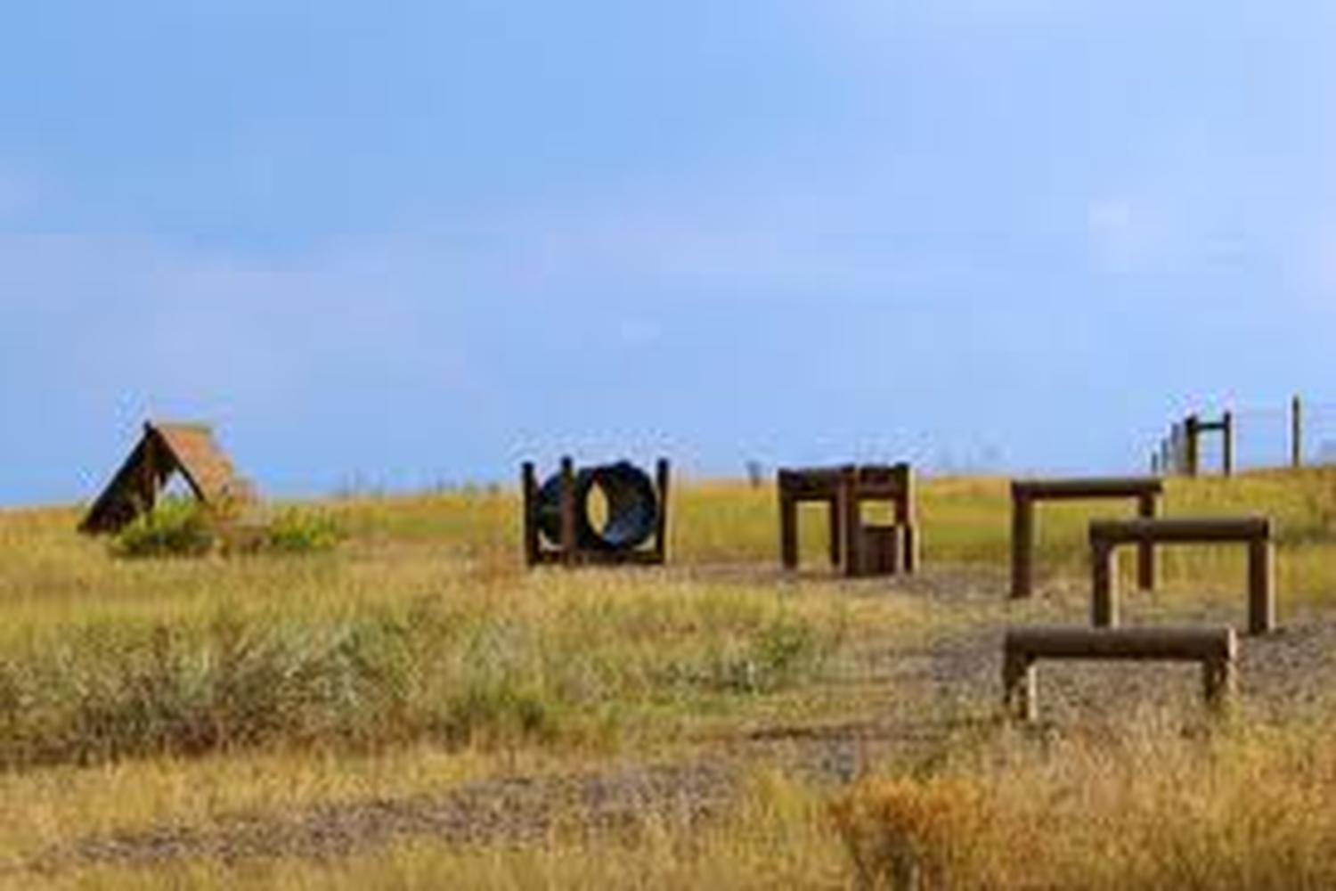 Glendale Farm Open Space Dog Park 0