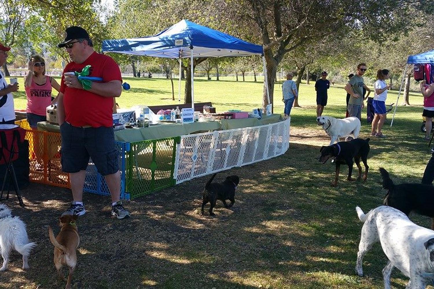 Camarillo Grove Dog Park 2