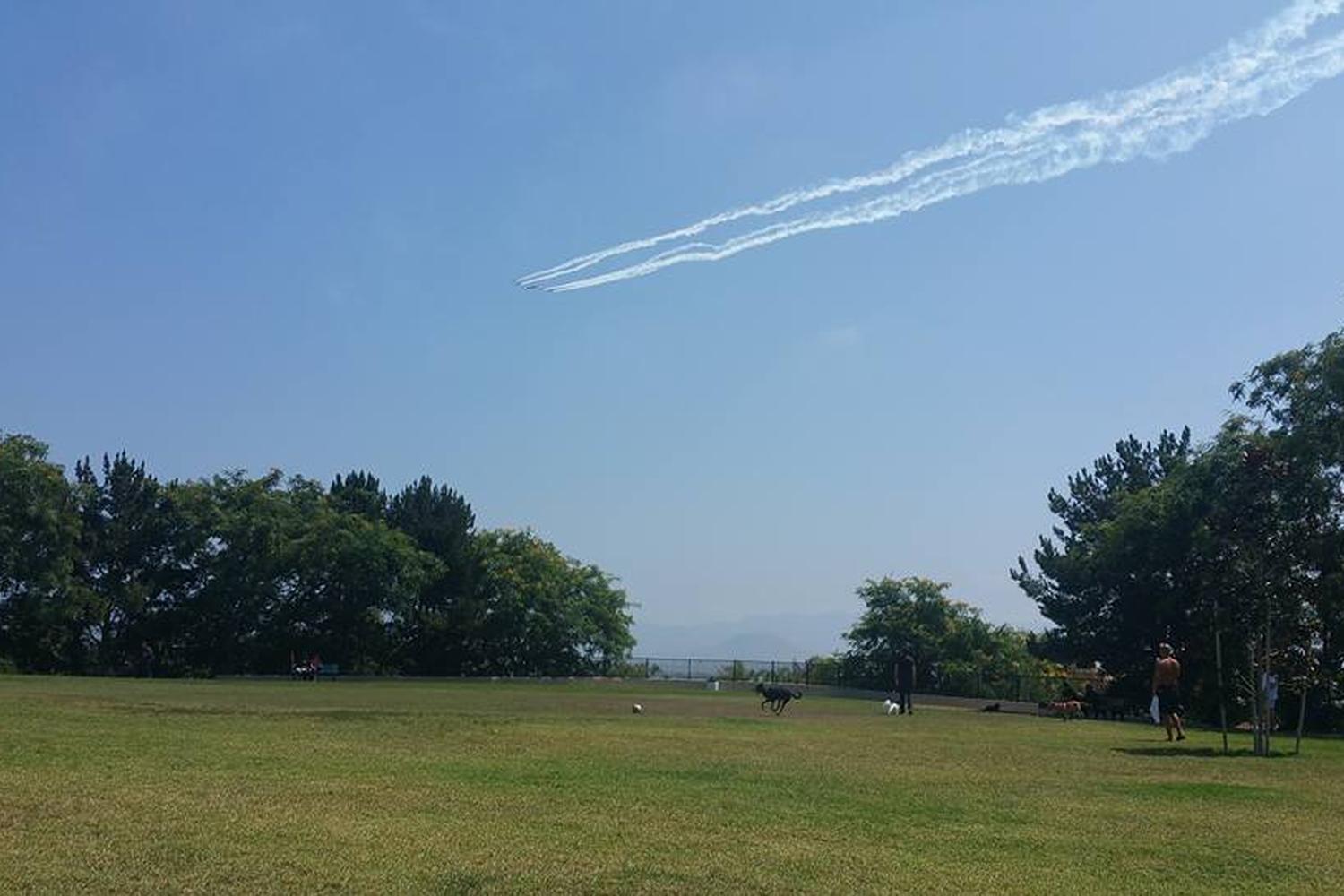 Camarillo Grove Dog Park 3