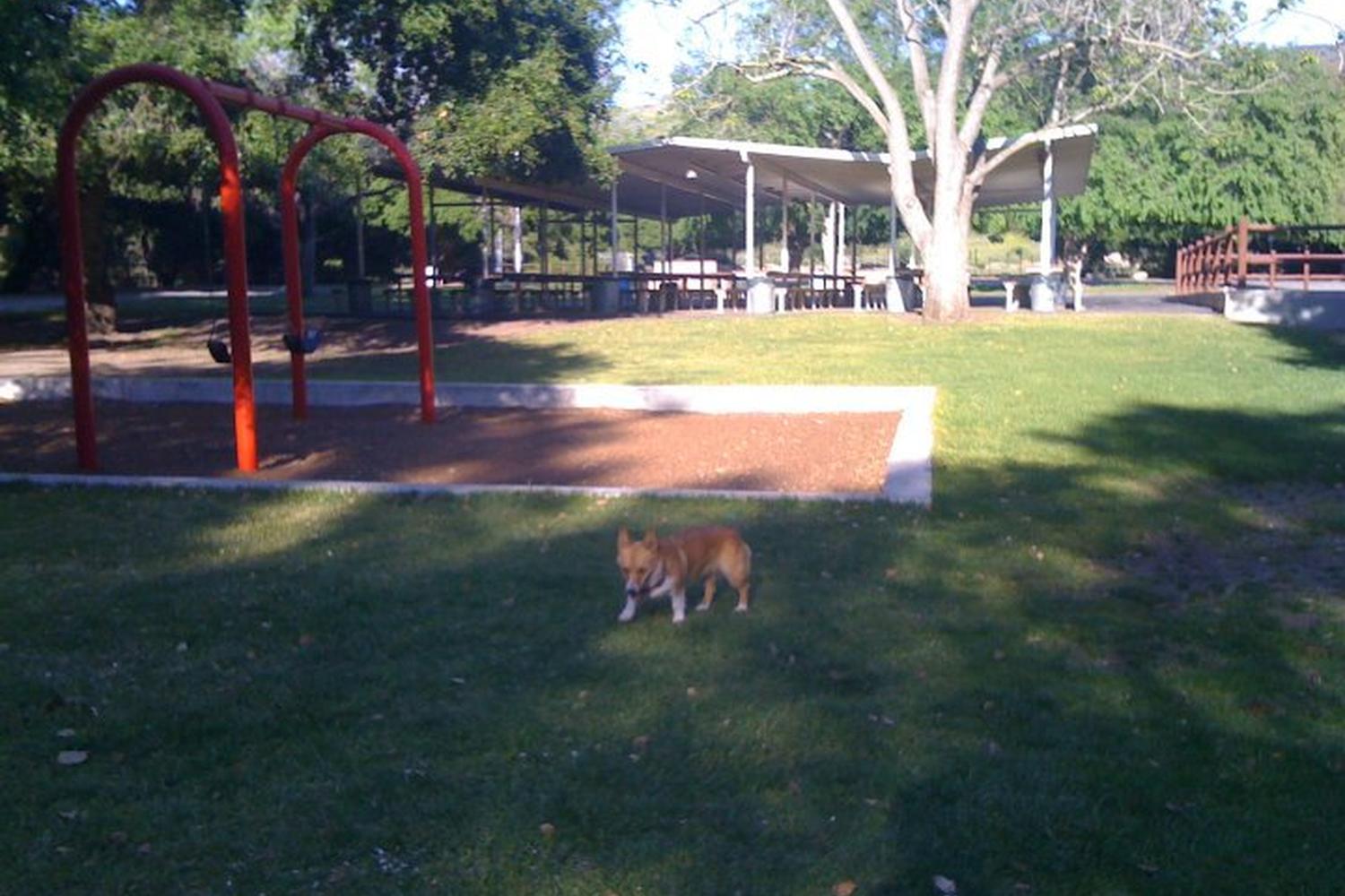 Camarillo Grove Dog Park 5