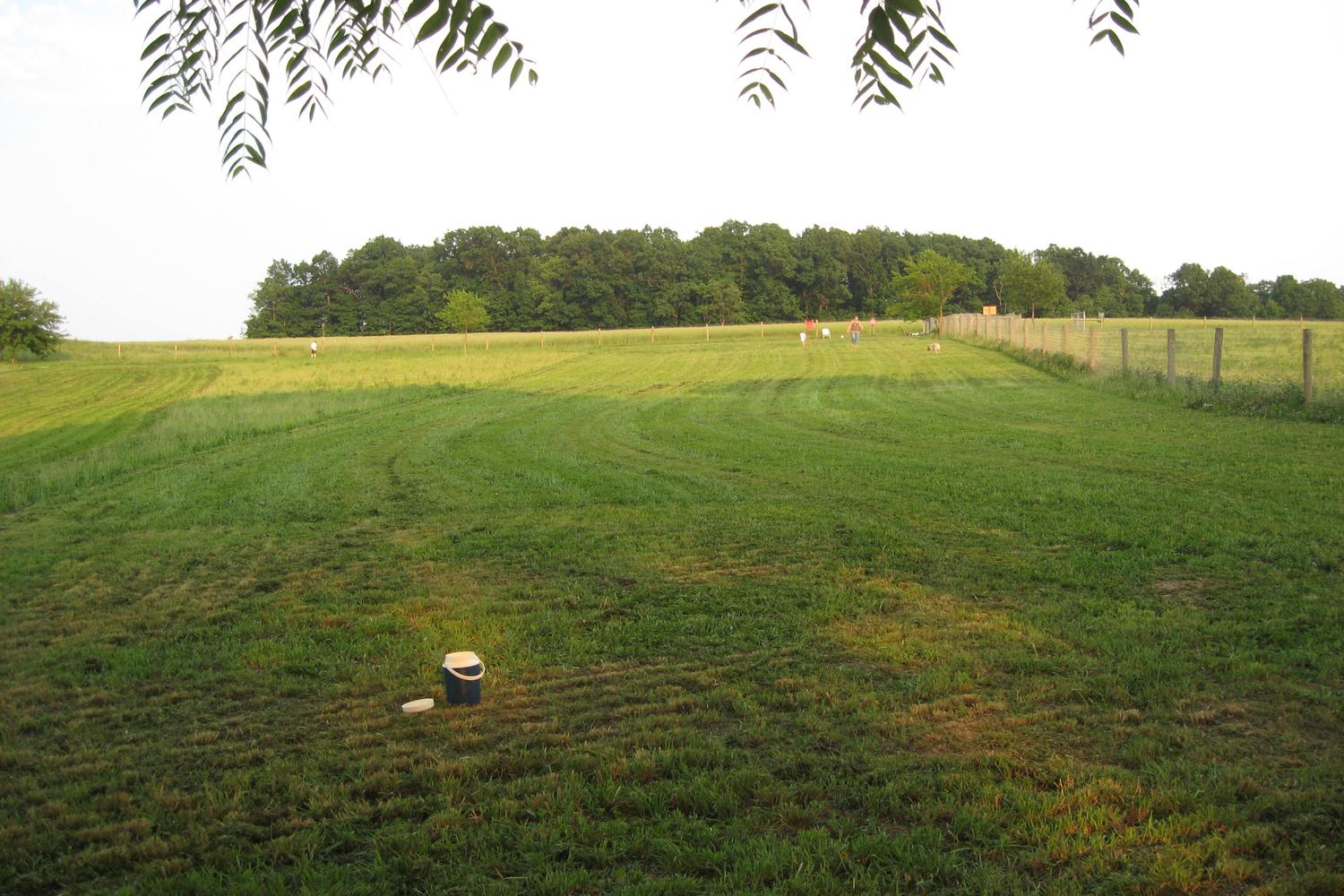 West Manheim Dog Park 0