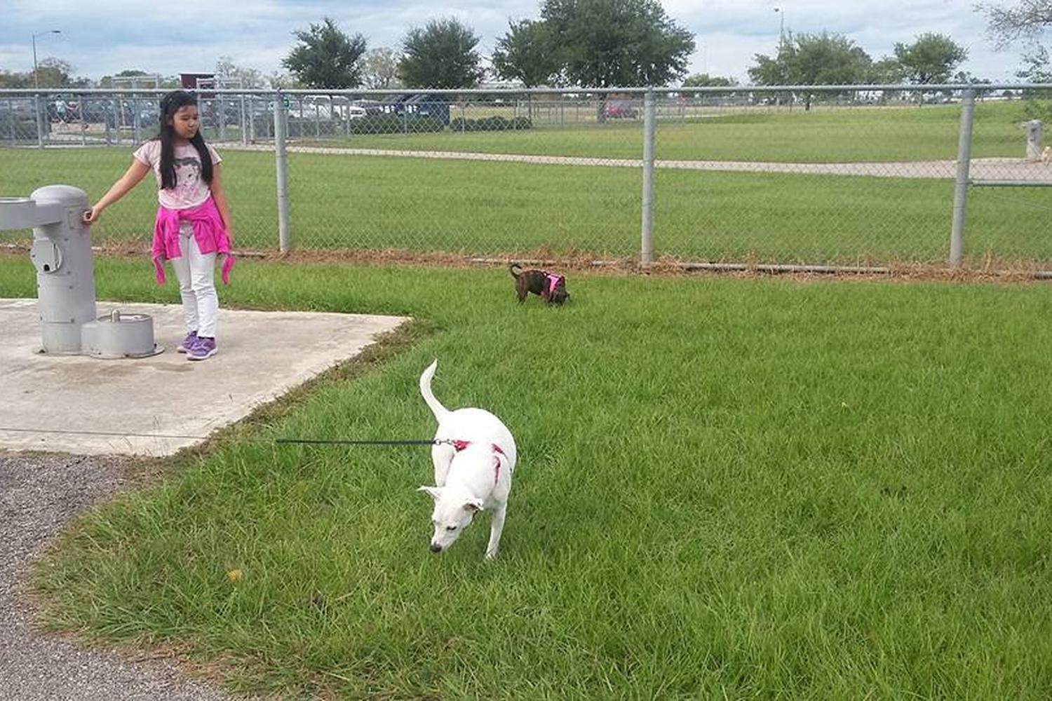 Tom Bass Regional Park and Dog Park 0