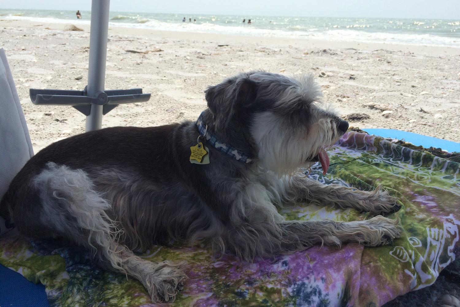 Gulfside City Park 2