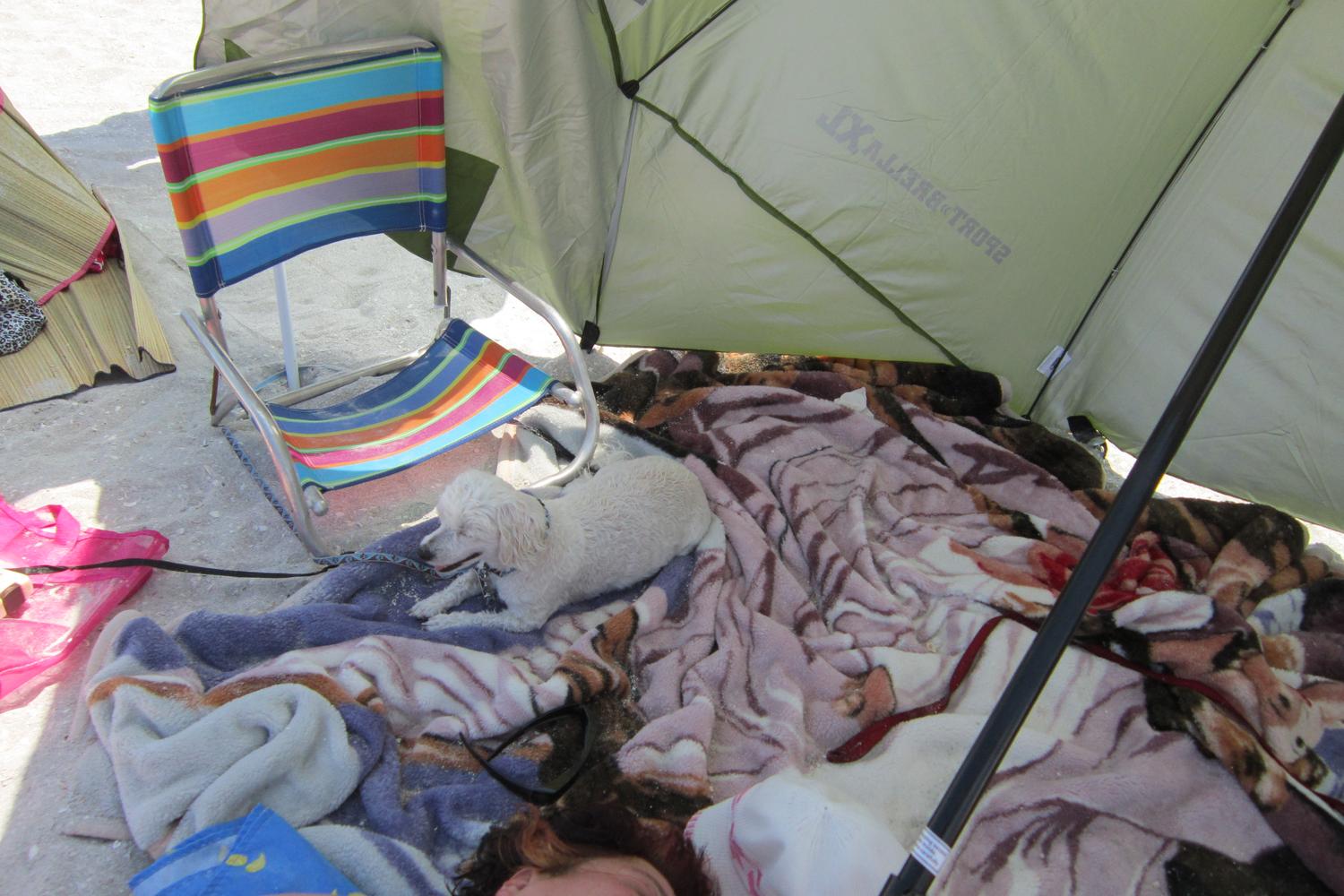 Gulfside City Park 4