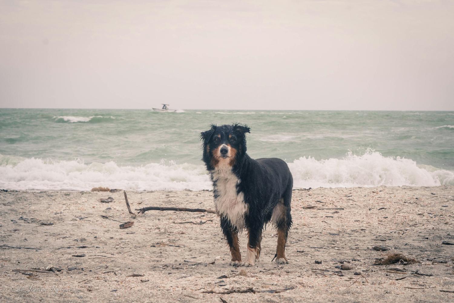 Gulfside City Park 3