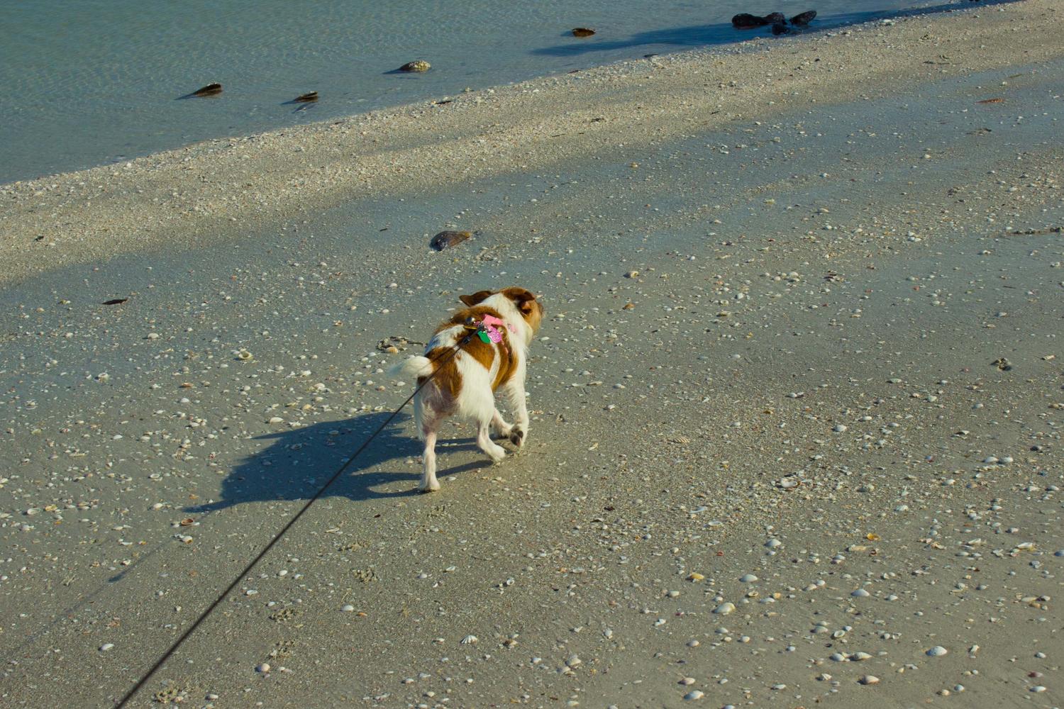 Gulfside City Park 1