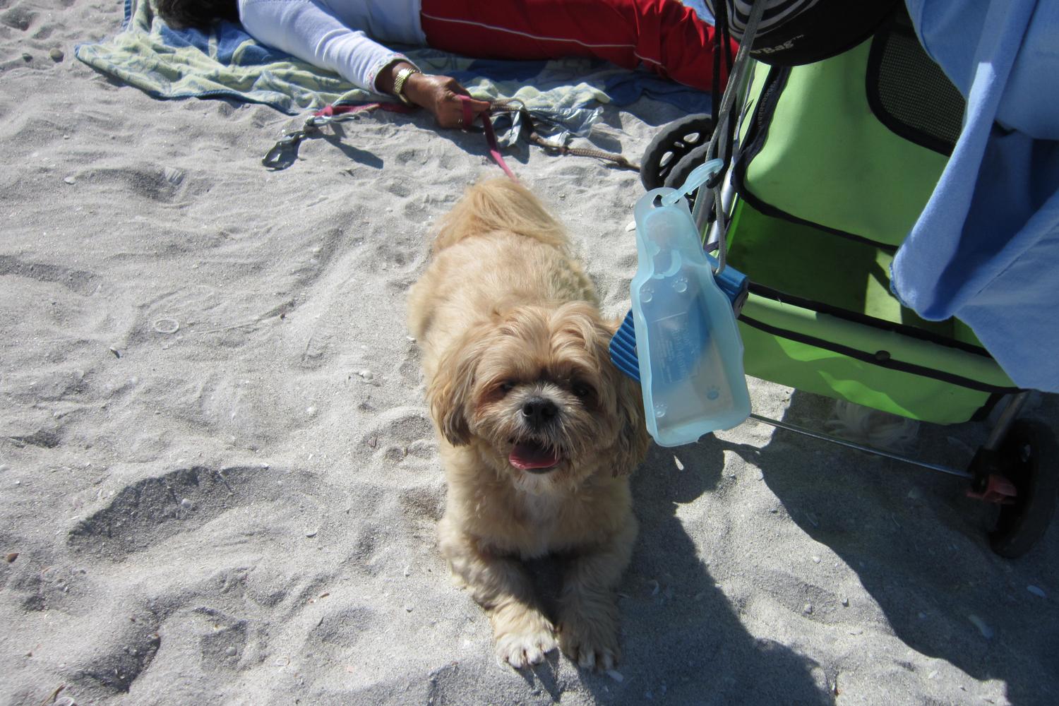 Gulfside City Park 0