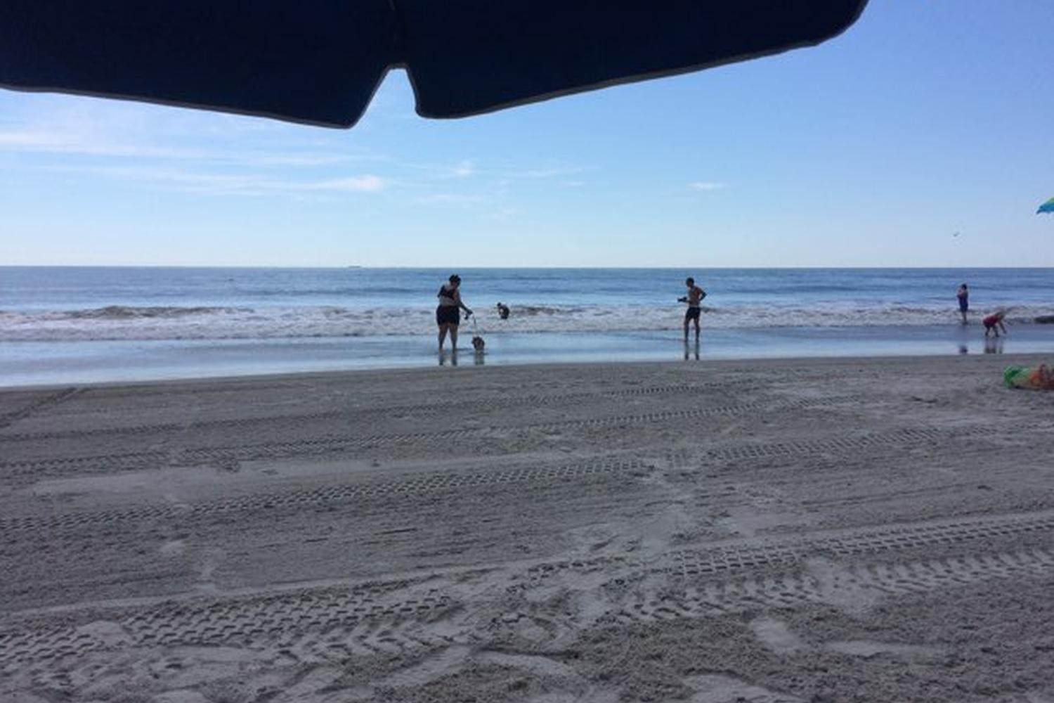 Wildwood Dog Park and Beach 9