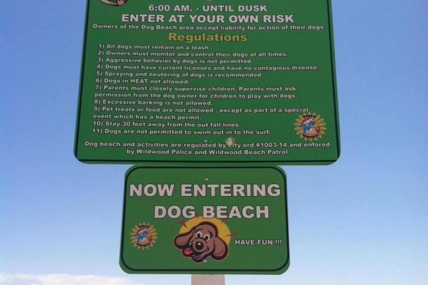 Wildwood Dog Park and Beach 2