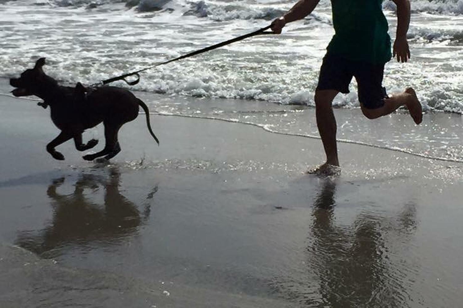 Wildwood Dog Park and Beach 7
