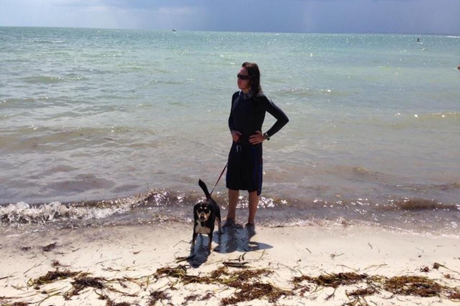 Hobie Island Beach Park 4