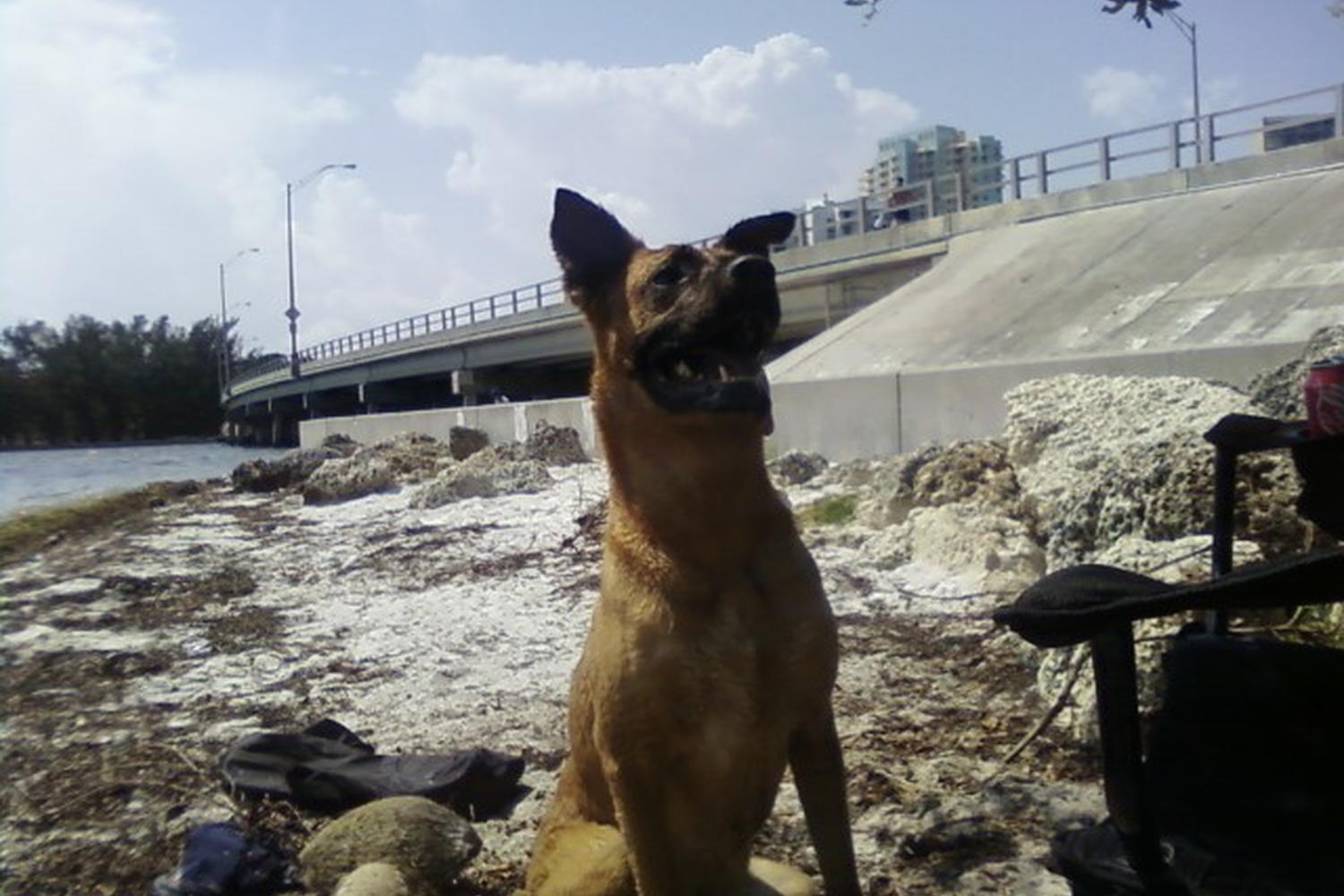 Hobie Island Beach Park 1