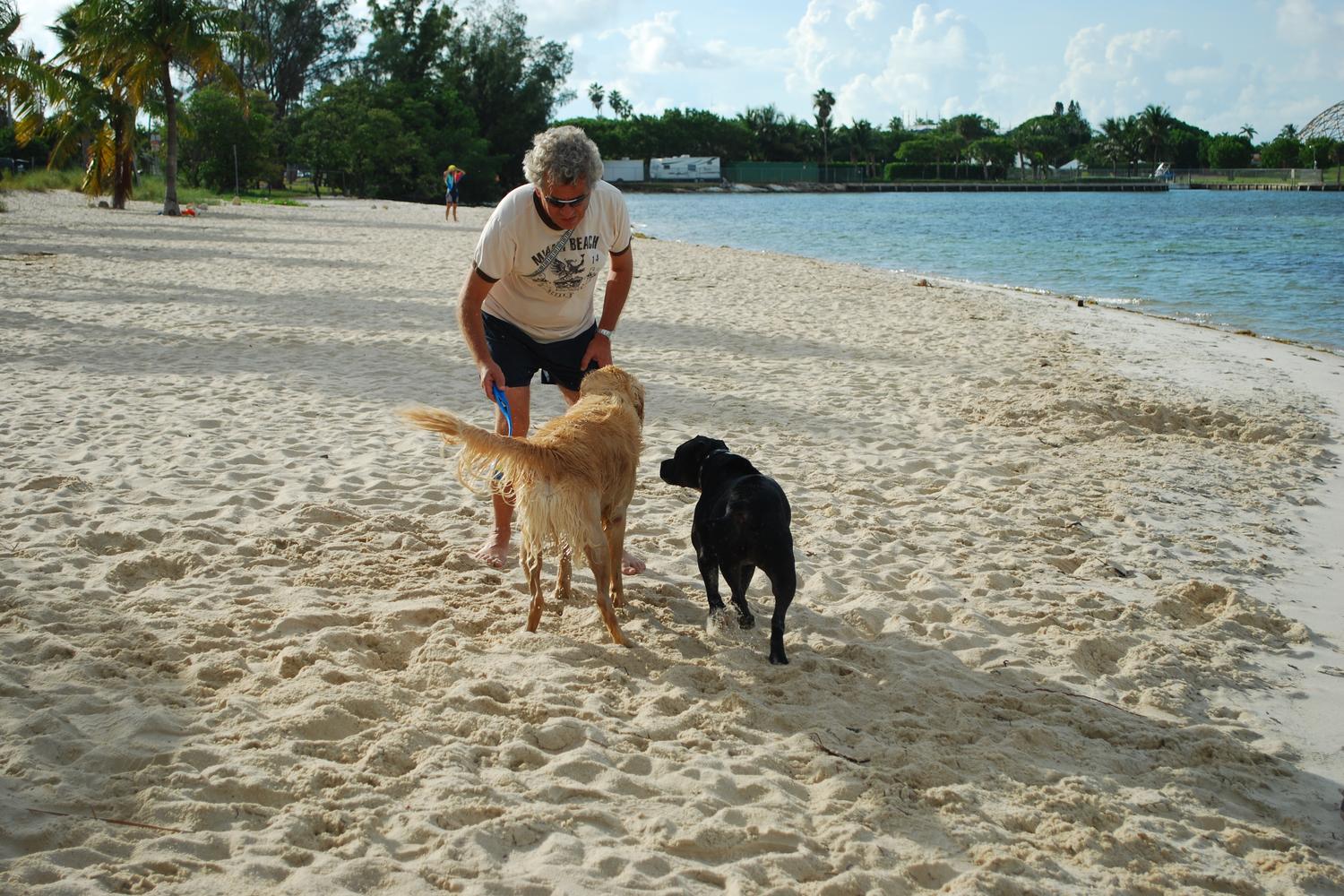 Hobie Island Beach Park 2