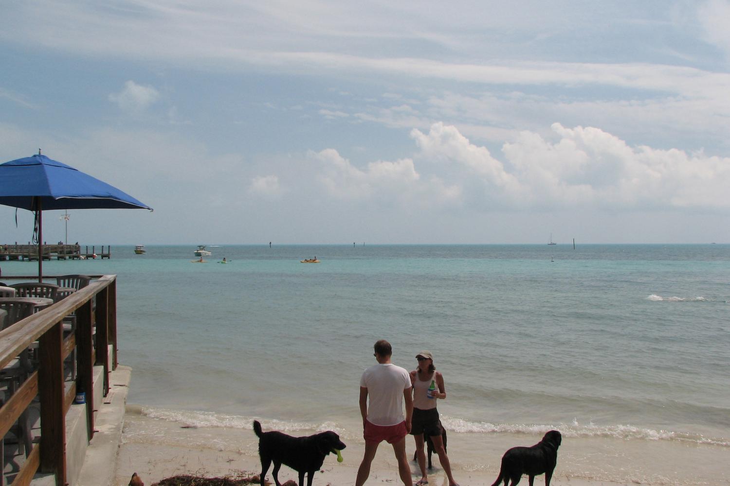 Key West Dog Beach 0