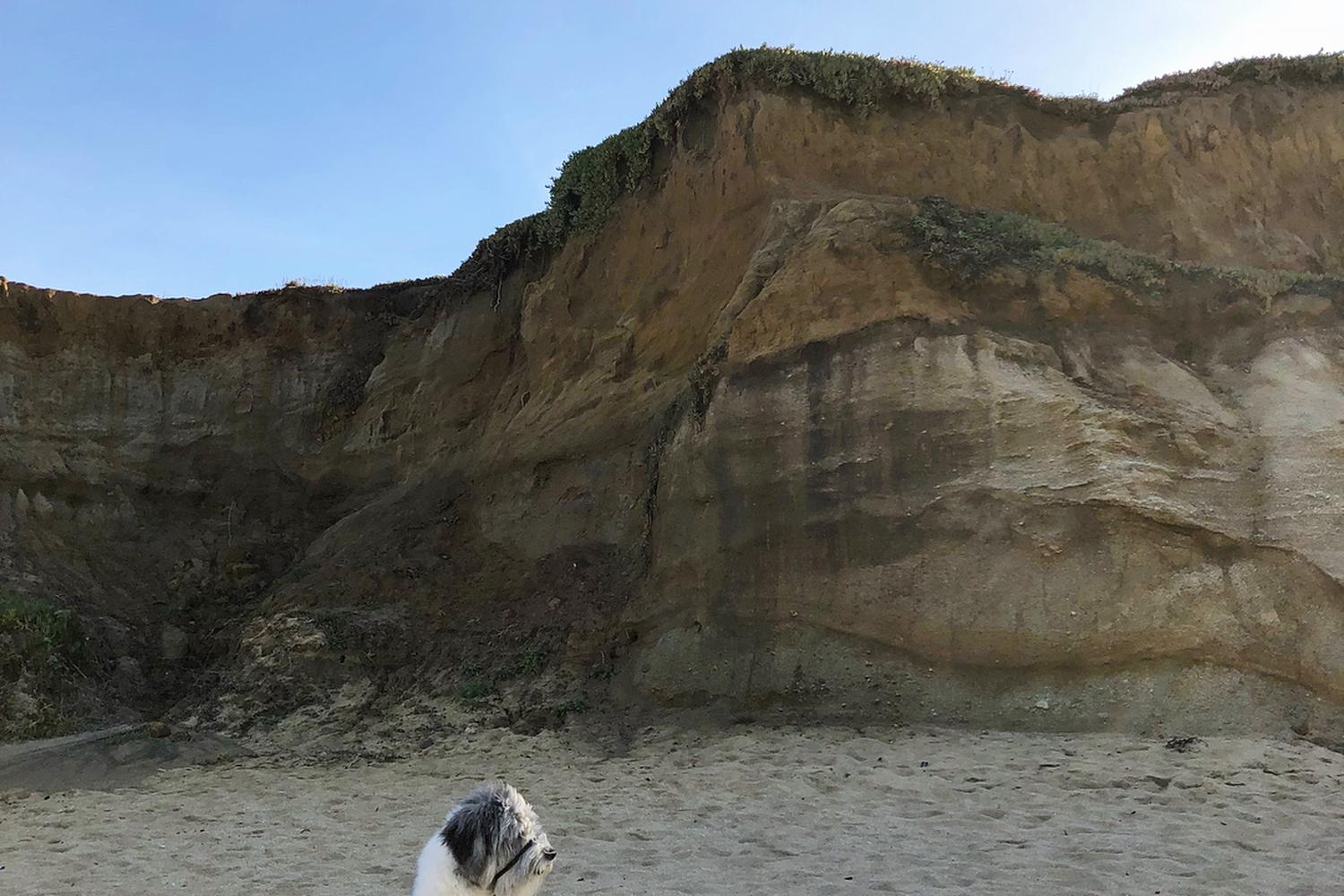 Montara State Beach 1
