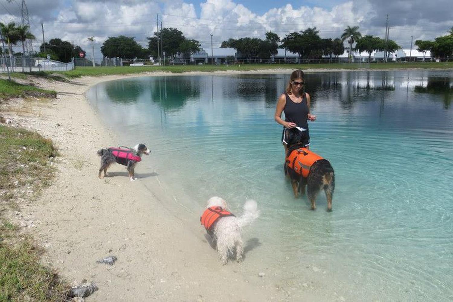 Performance Pups Freshwater Dog Beach 6