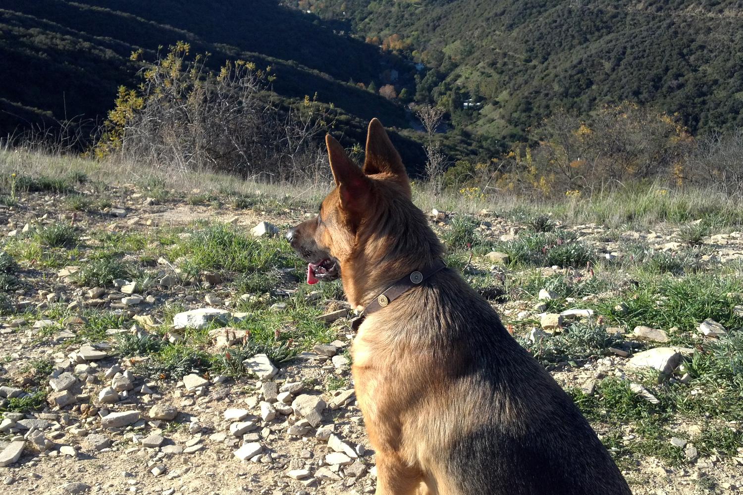 Westridge-Canyonback Wilderness Park 1