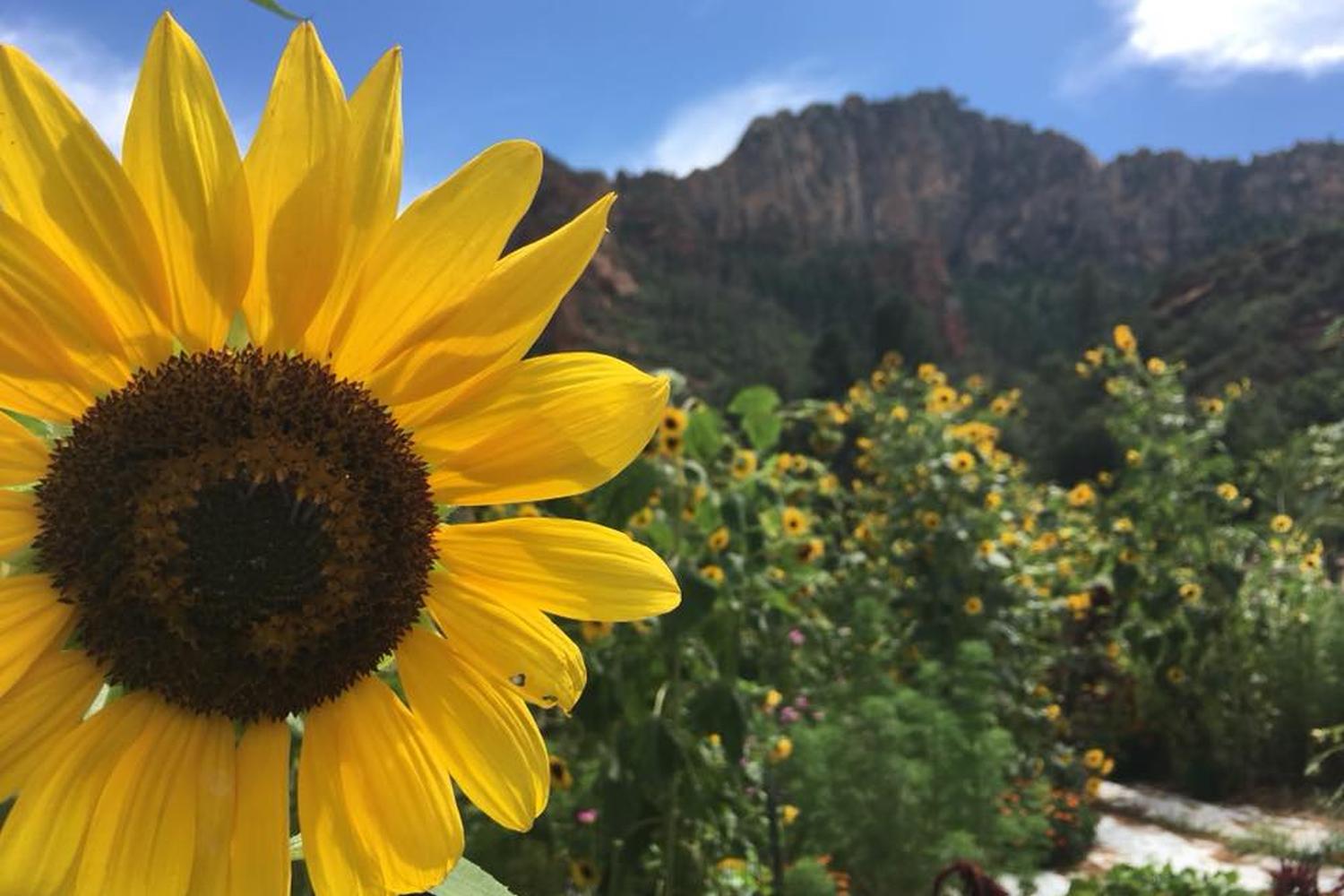 Slide Rock State Park 2