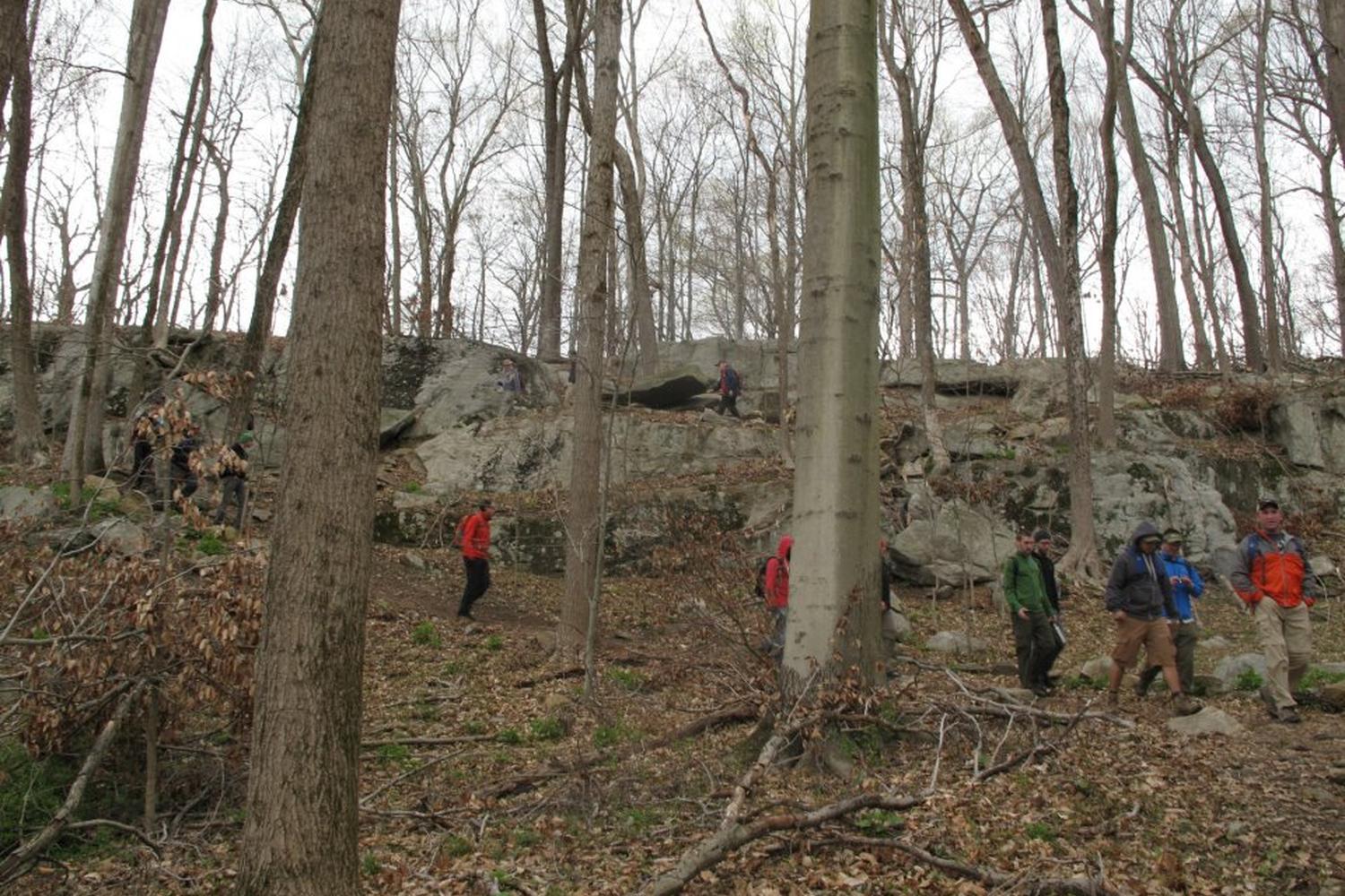 Hardscrabble Wilderness Area Trail 0