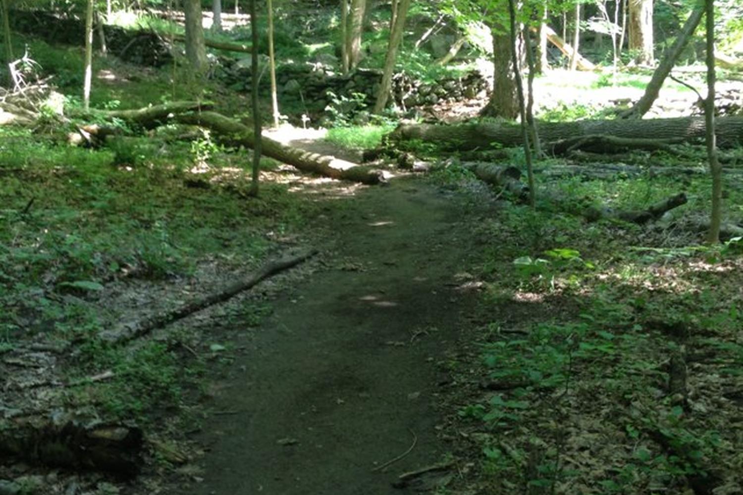 Hardscrabble Wilderness Area Trail 4