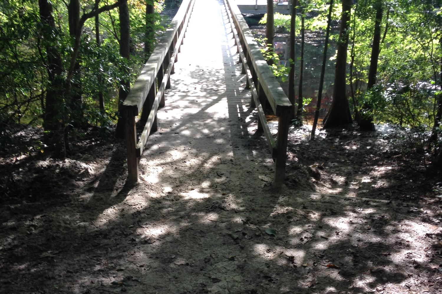 Abbey Nature Trail 1