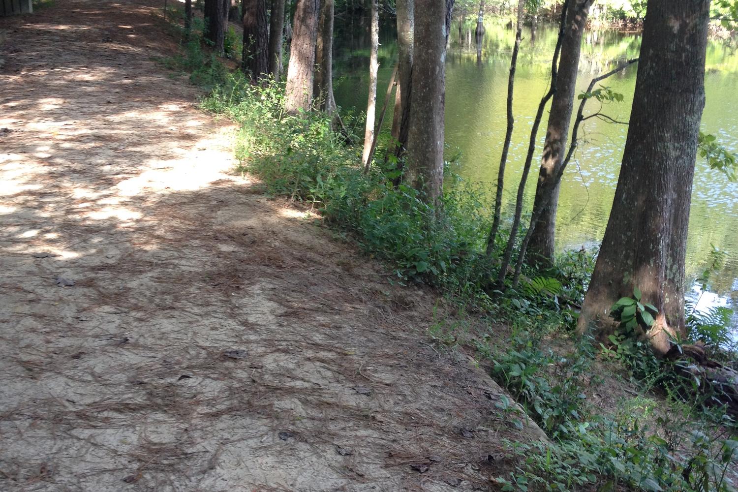 Abbey Nature Trail 2