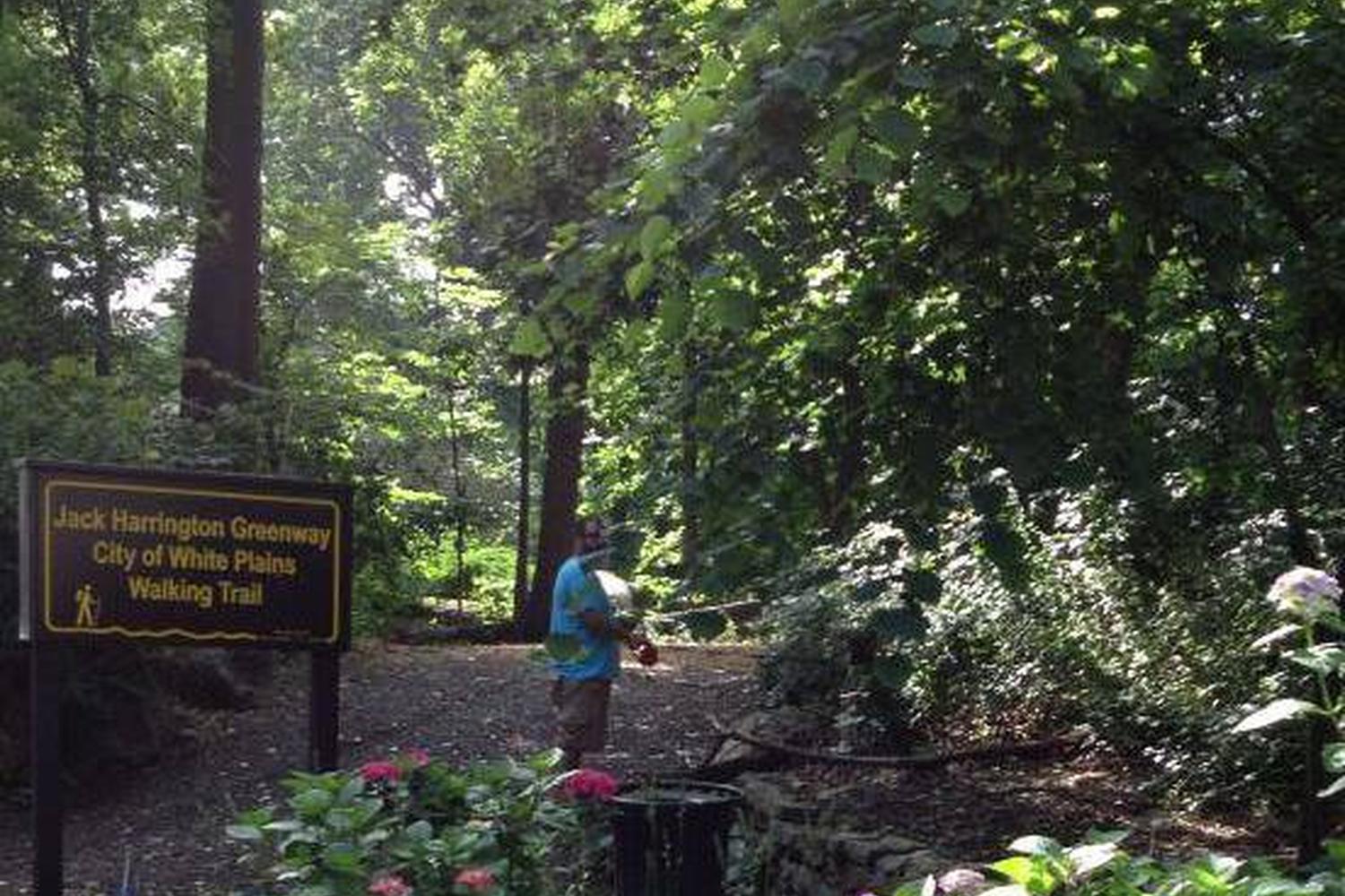 Gedney Park Off Leash Dog Area 1