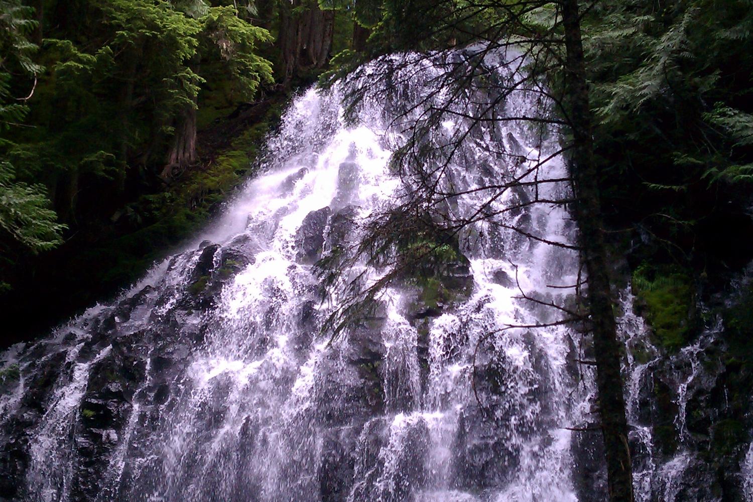 Ramona Falls Trail 5