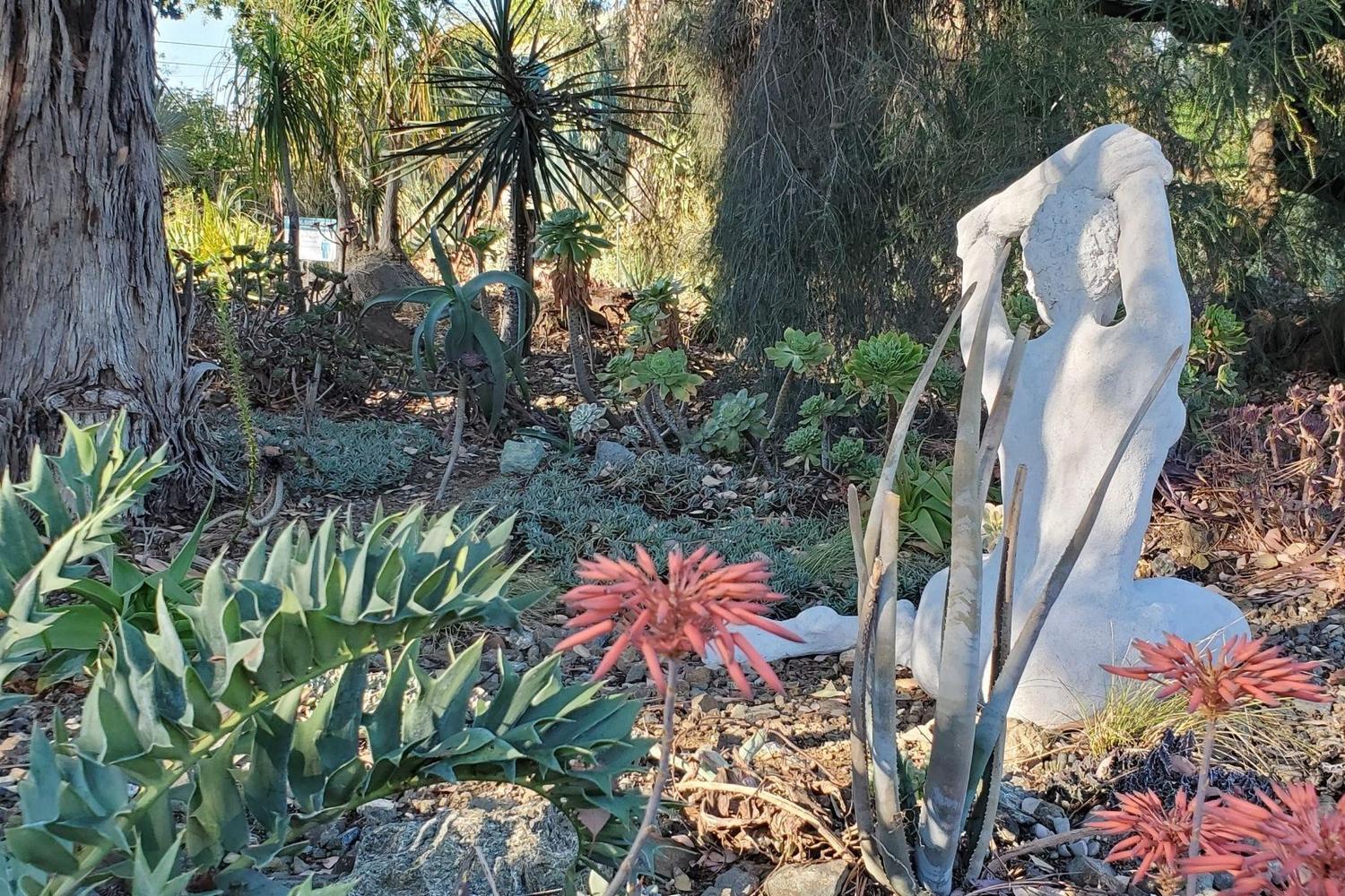The Ruth Bancroft Garden 3