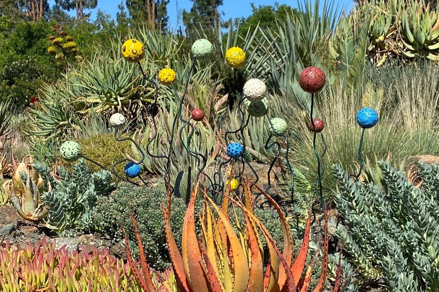 The Ruth Bancroft Garden 4