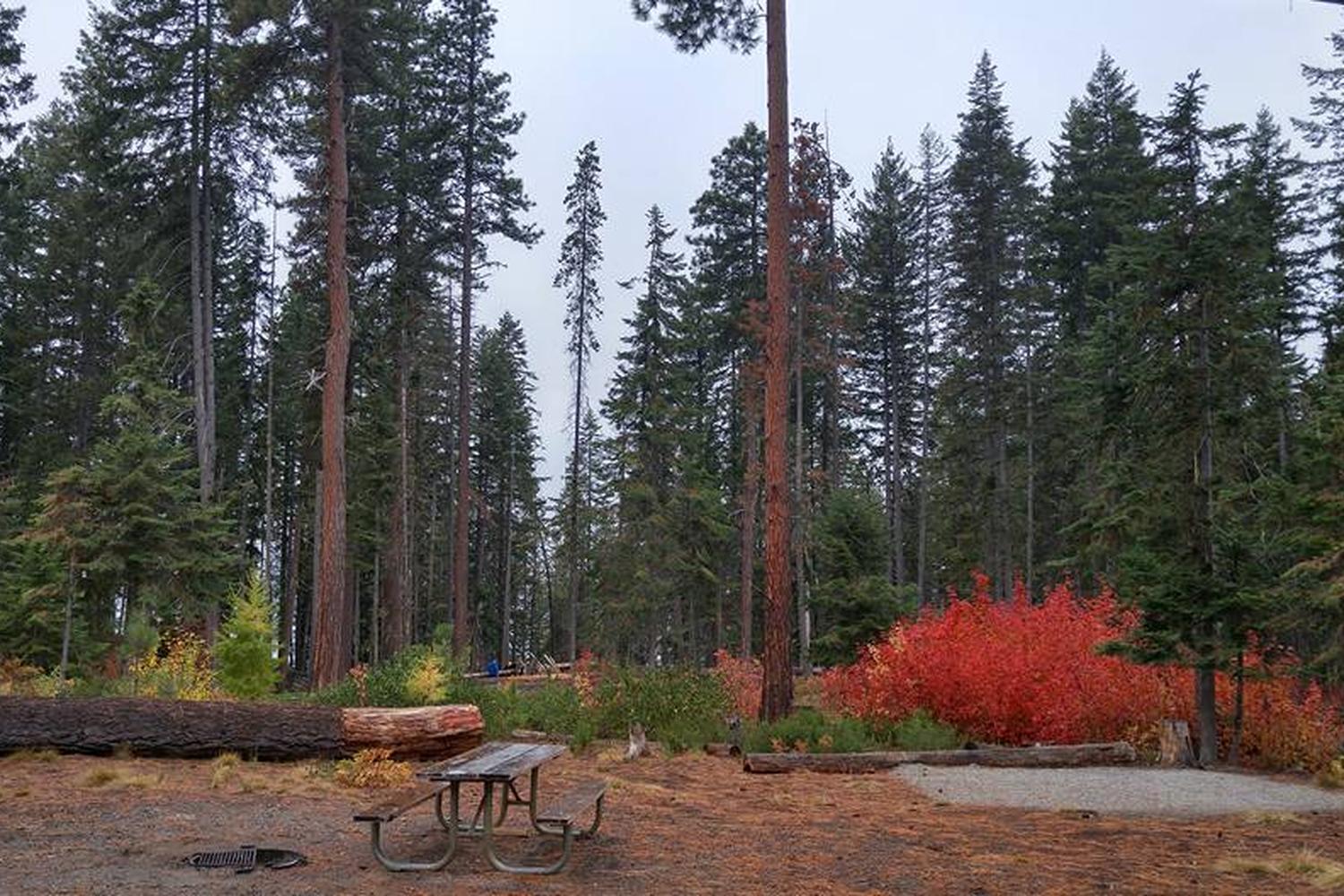 Lake Wenatchee State Park 2