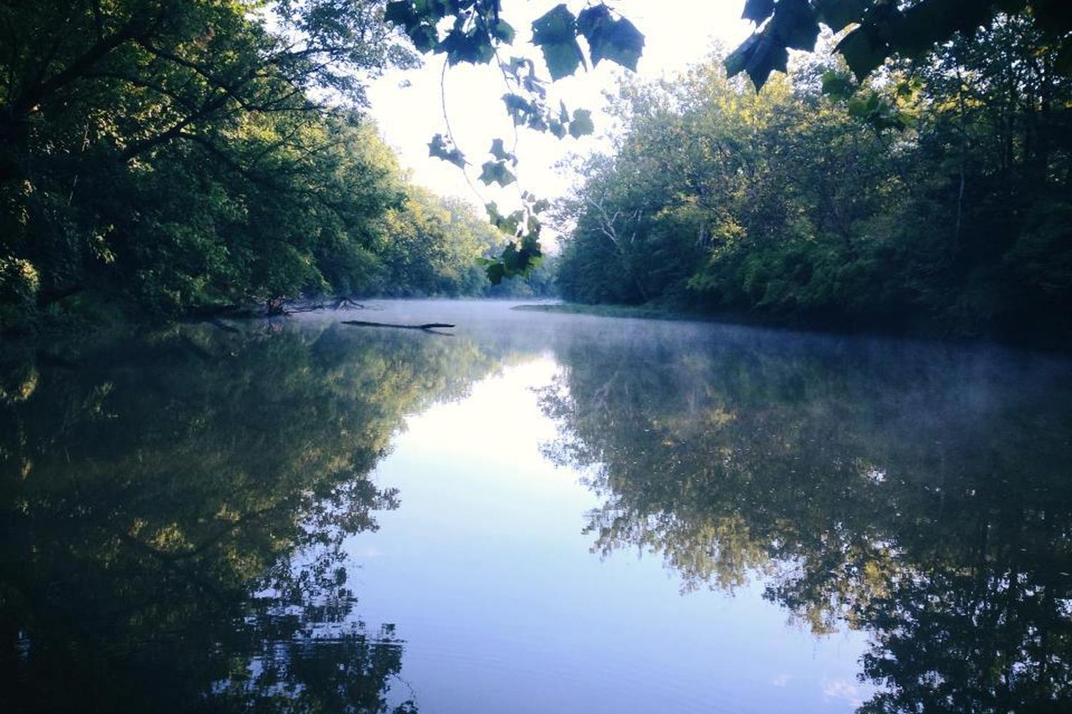 Caesar Creek State Park Dog Training Area 1