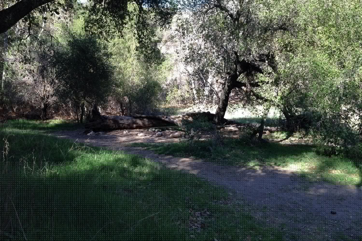 Fishermans Camp Trail 0