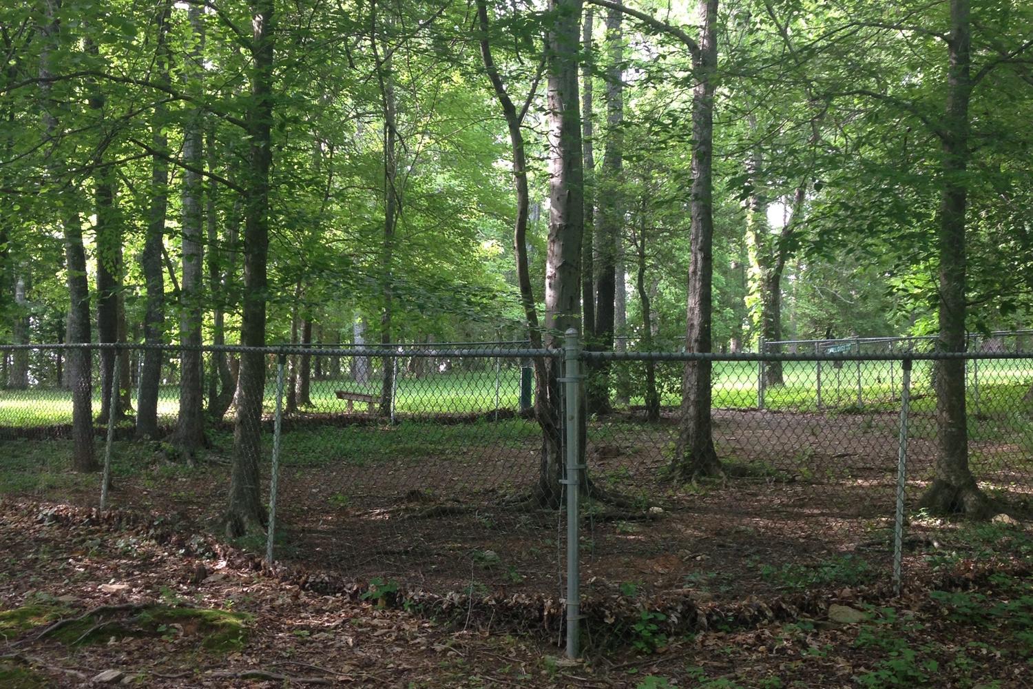 Union County Recreation Center Dog Park 0