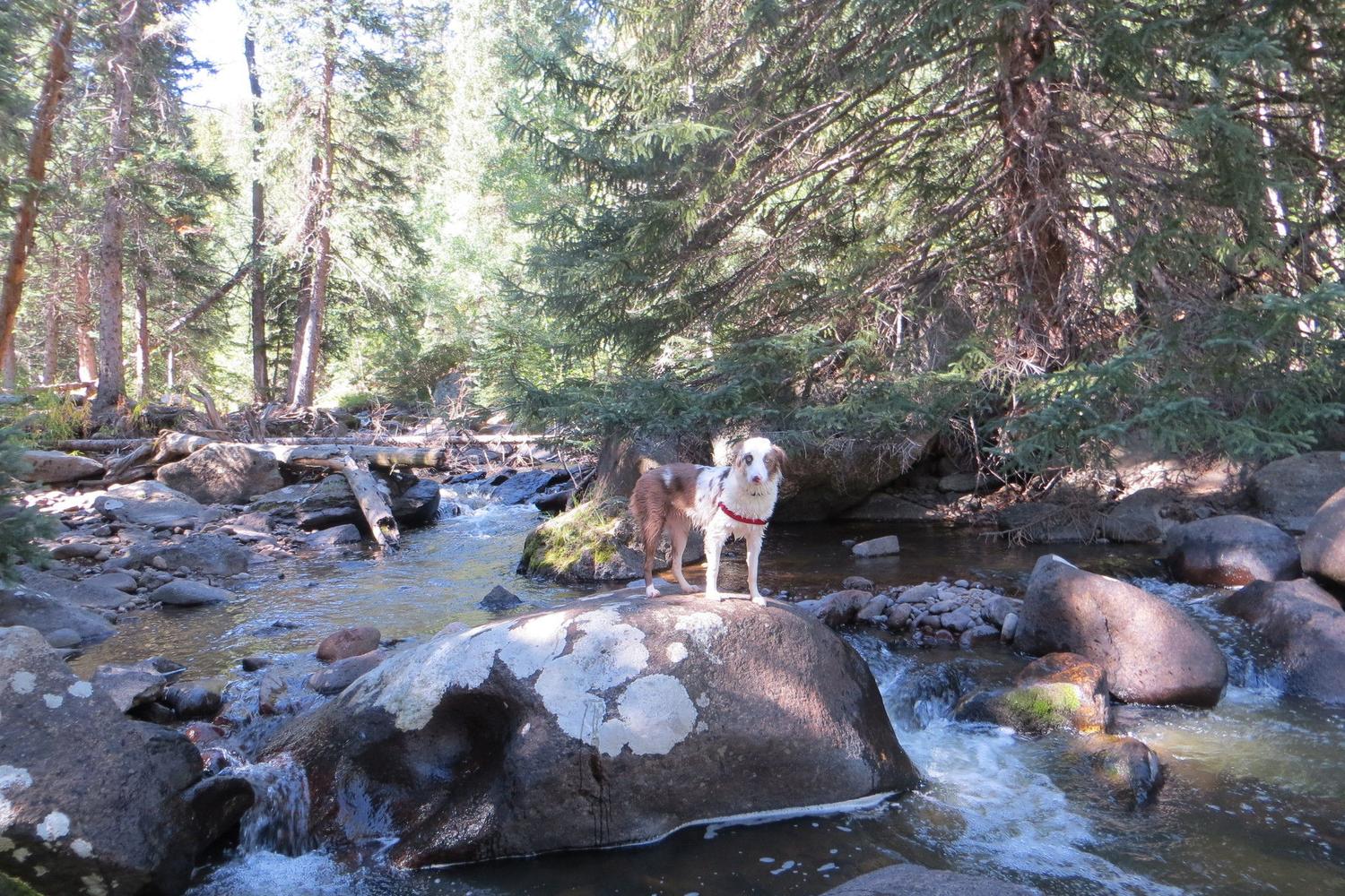 Ceran Saint Vrain Trail 0