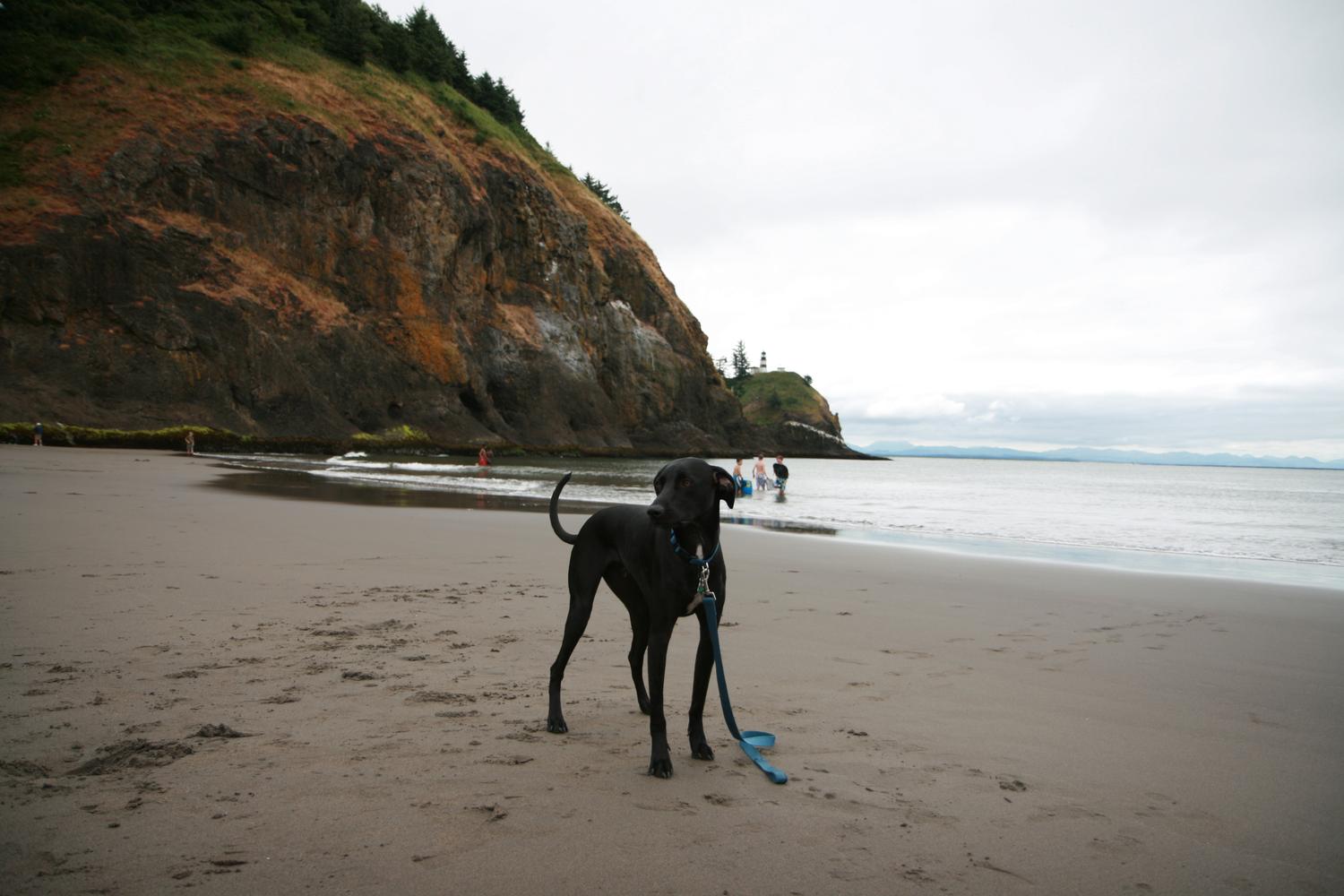 Cape Disappointment State Park 0