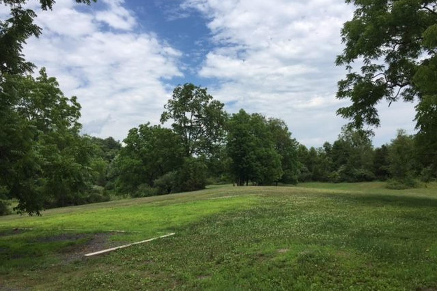 Judy Putek Memorial Park 0