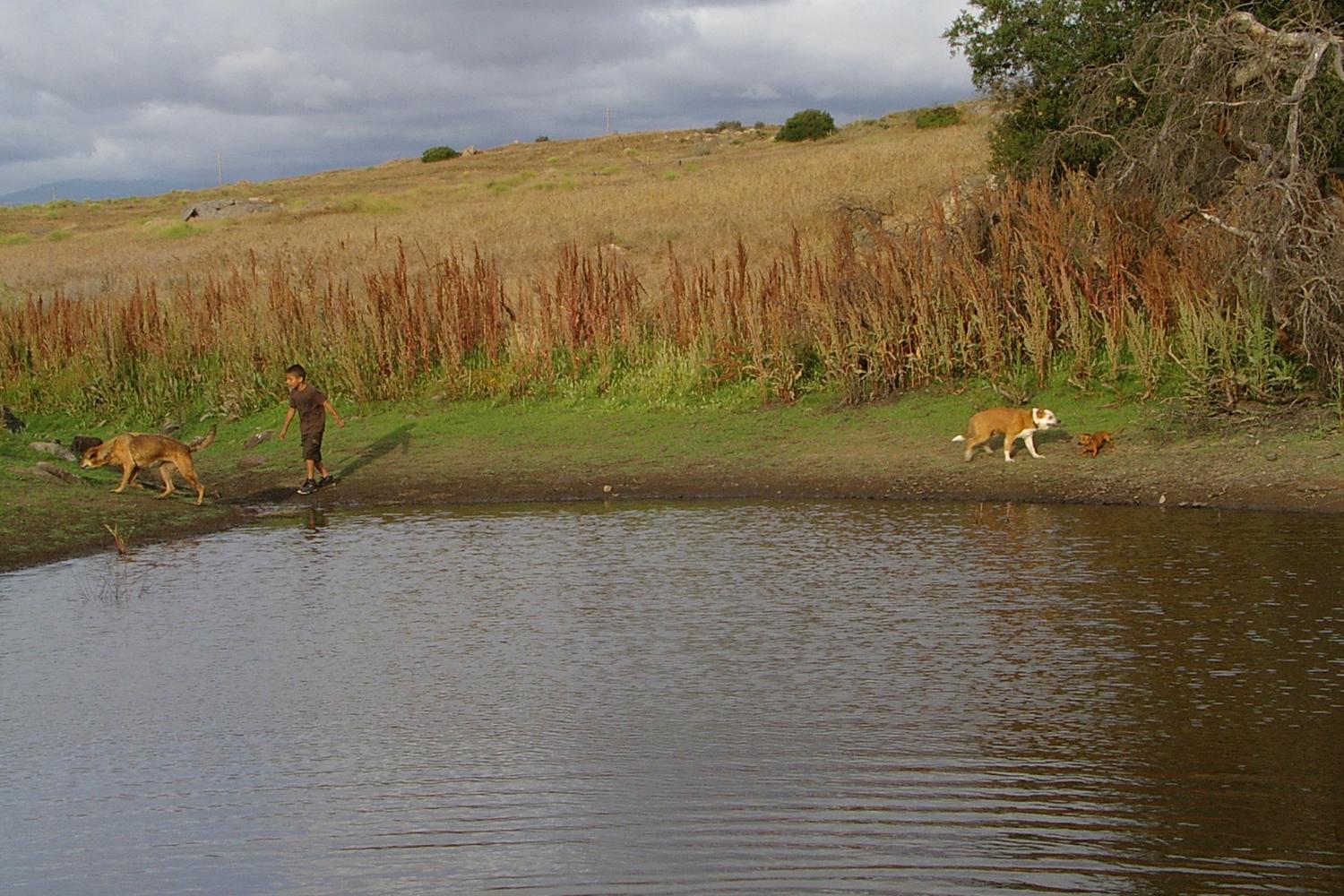 Barnett Ranch Preserve 5
