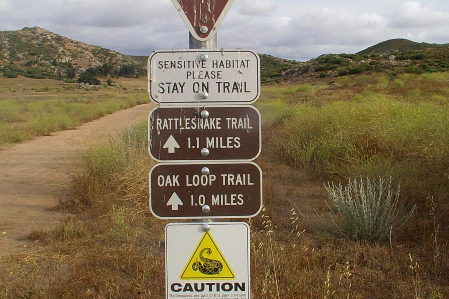 Barnett Ranch Preserve 1