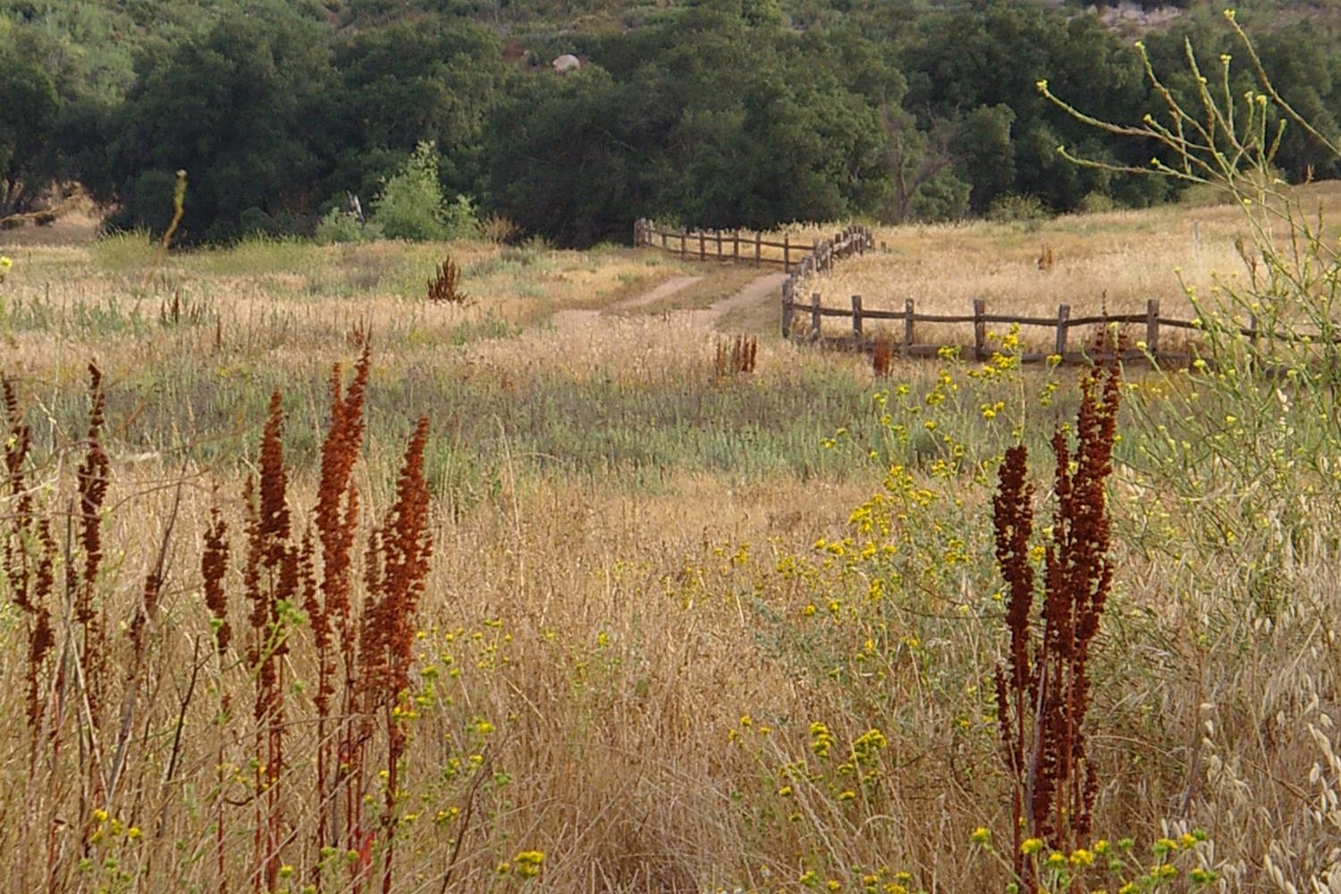 Barnett Ranch Preserve 4