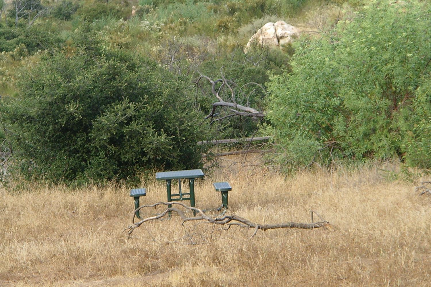 Barnett Ranch Preserve 7