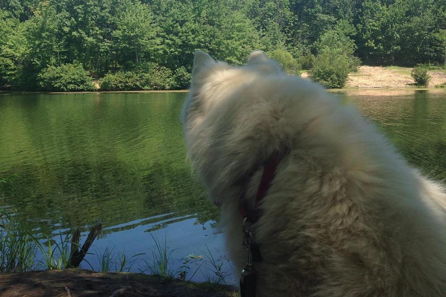 Franklin Lakes Nature Preserve 6