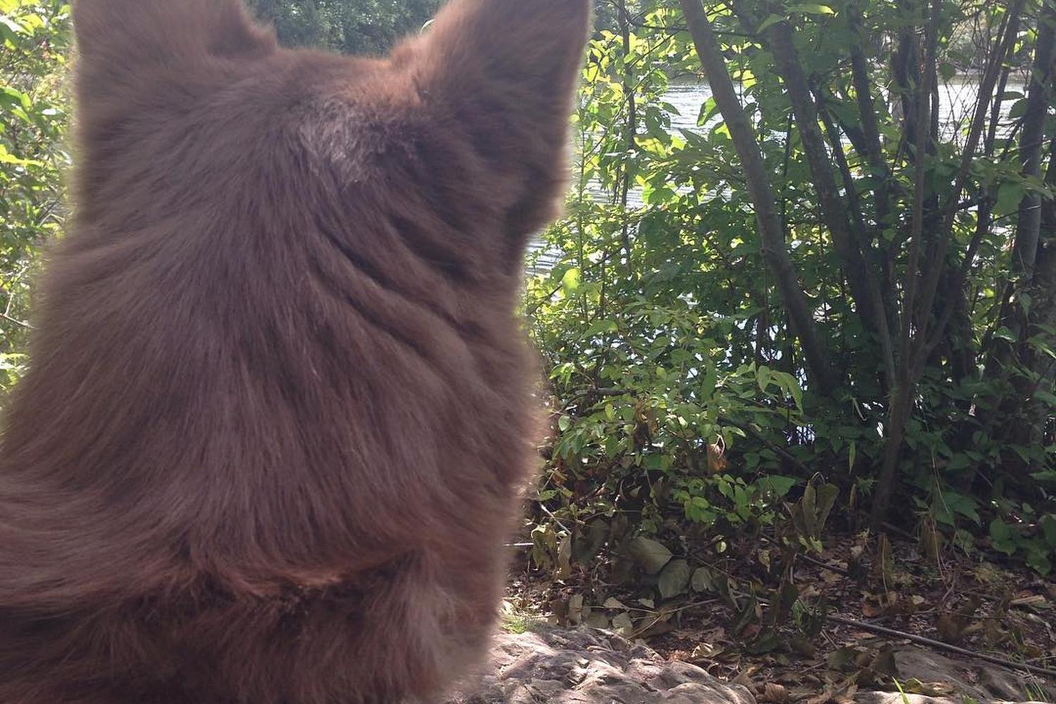 Franklin Lakes Nature Preserve 7