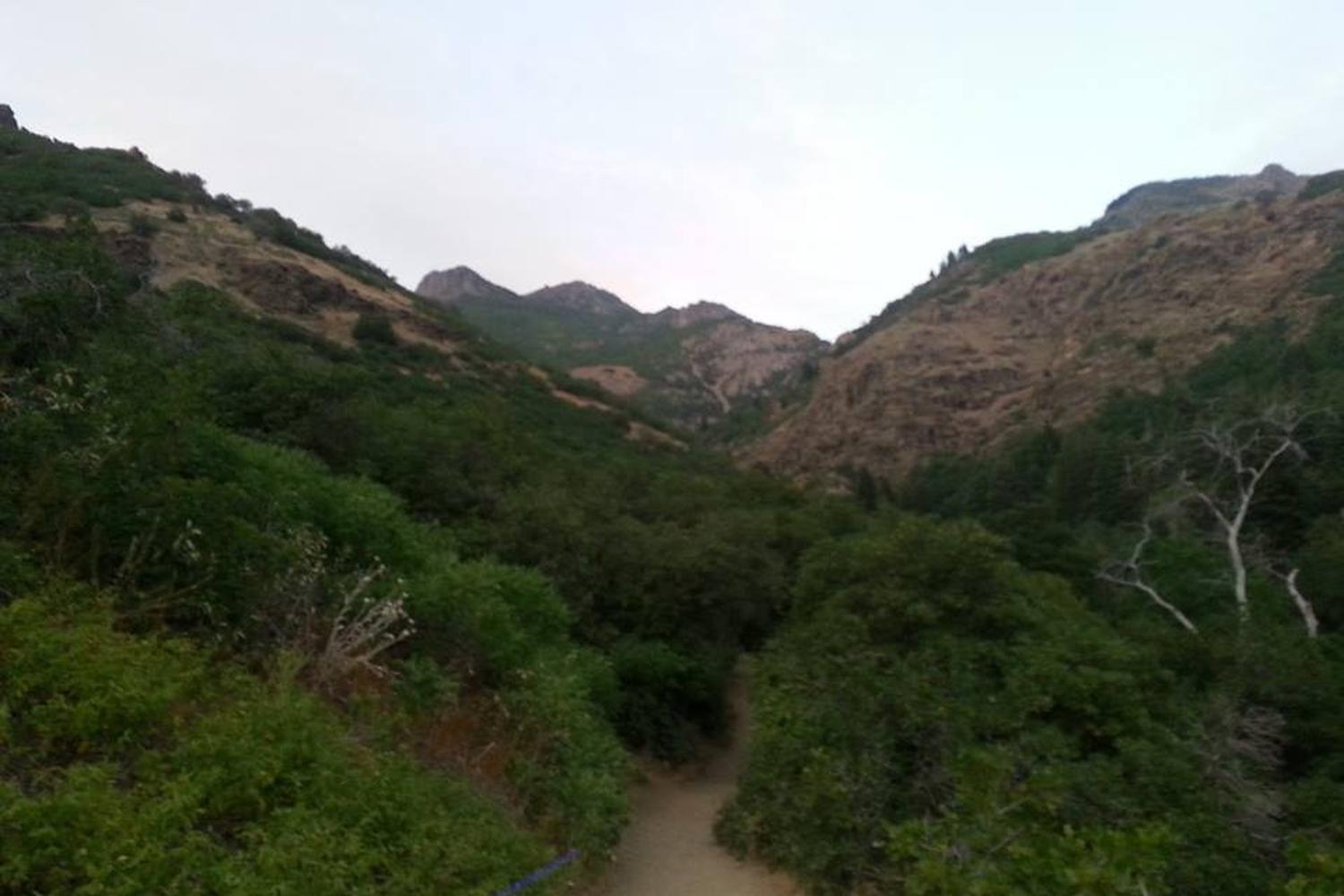 Adams Canyon Trail 2