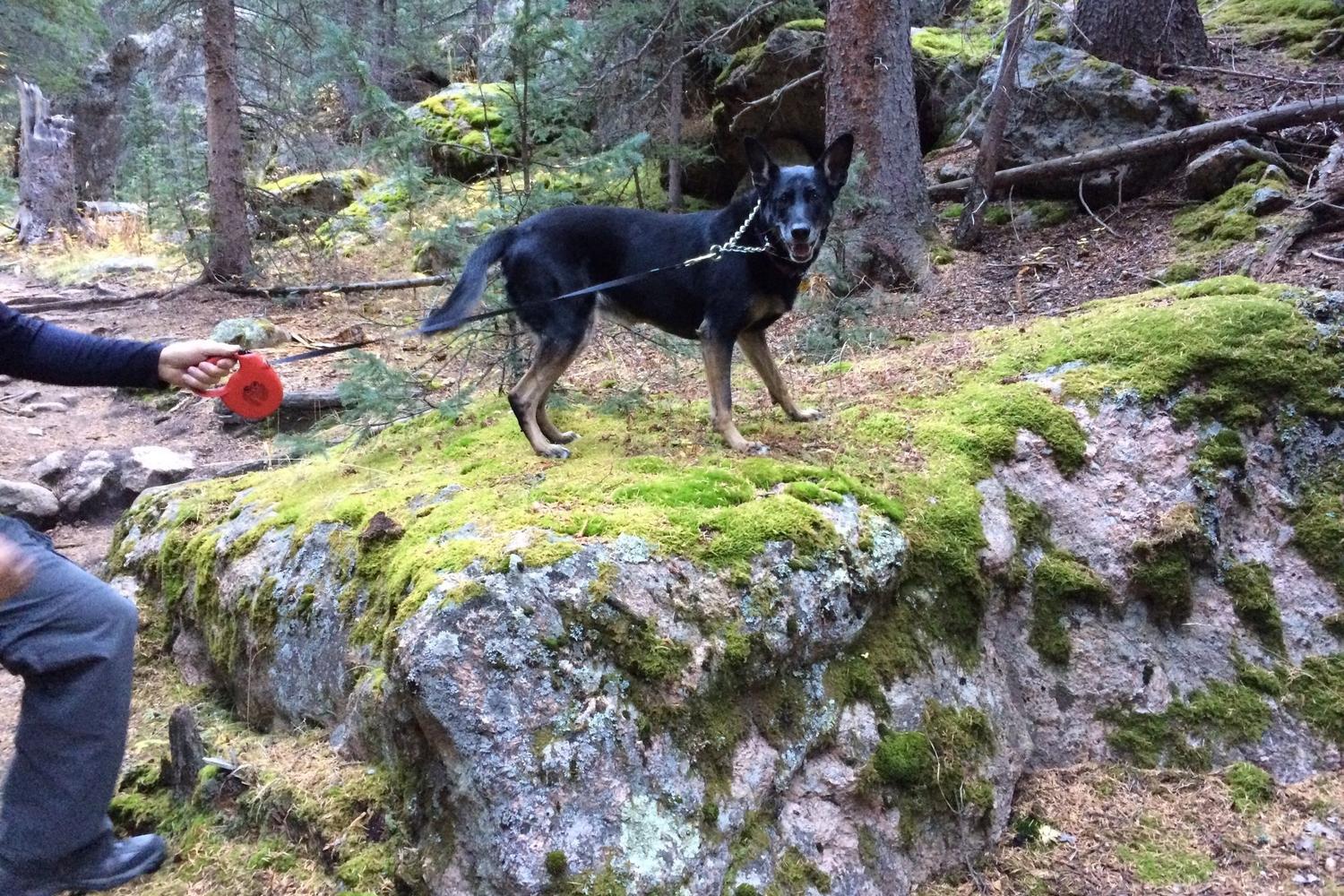 Three Mile Creek Trail 0