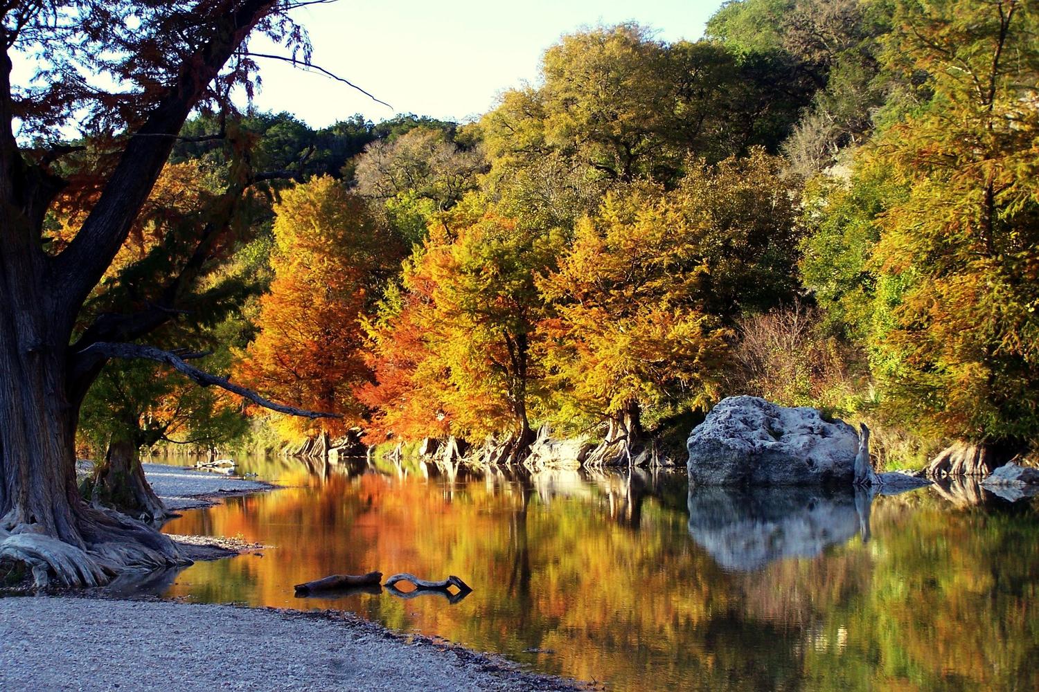 Guadalupe River State Park 5