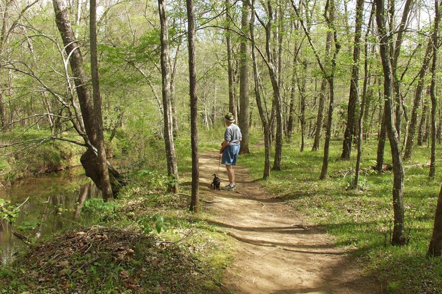 Mount Jefferson State Natural Area 5