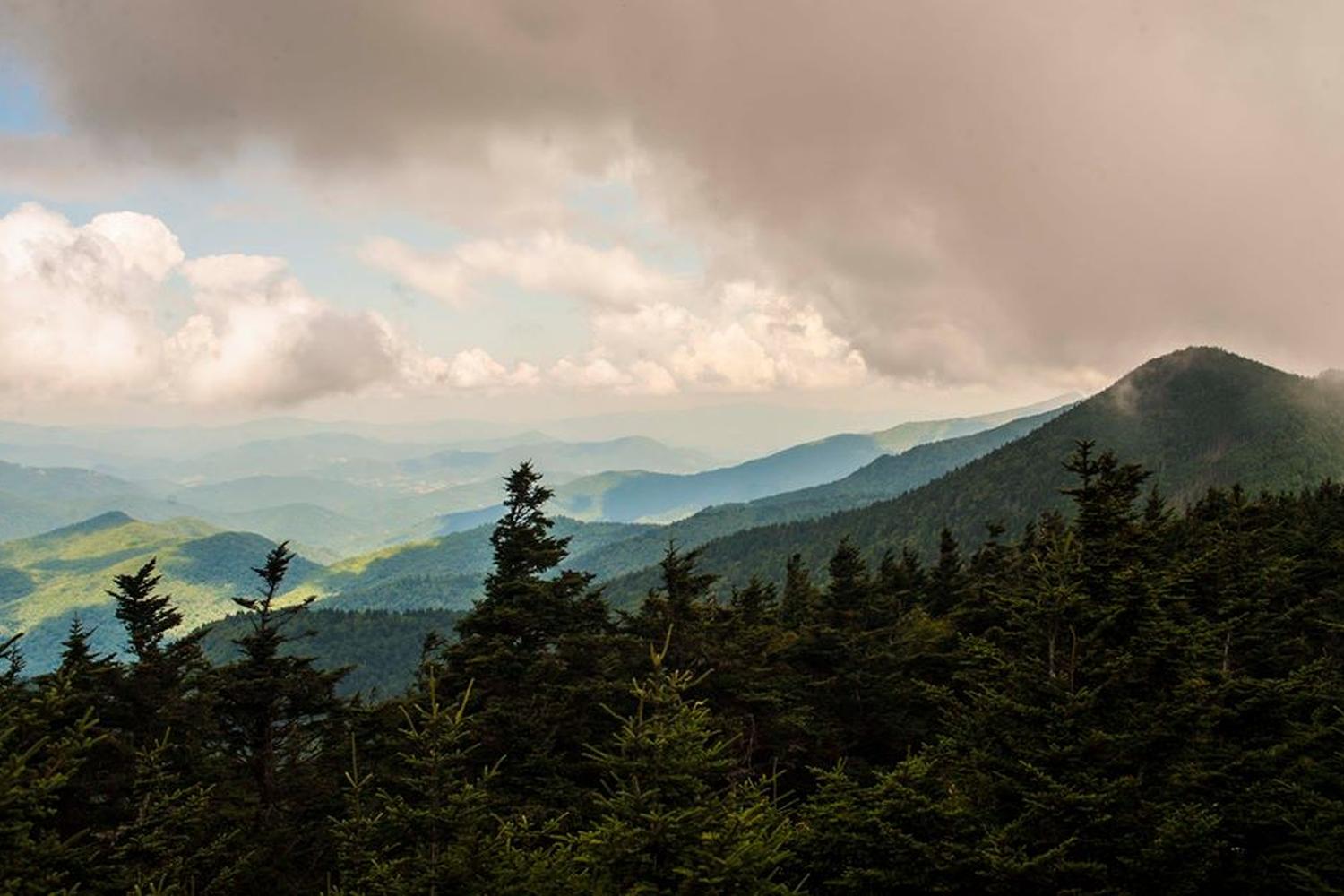 Mount Jefferson State Natural Area 6