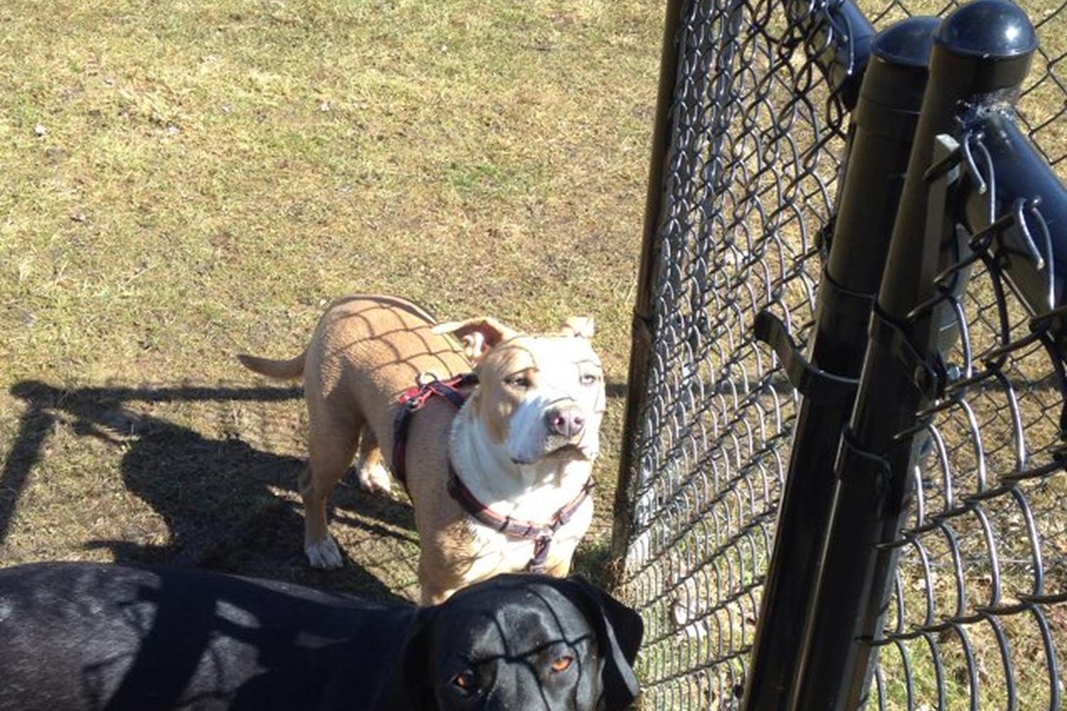 Beaver Meadow Trail 1